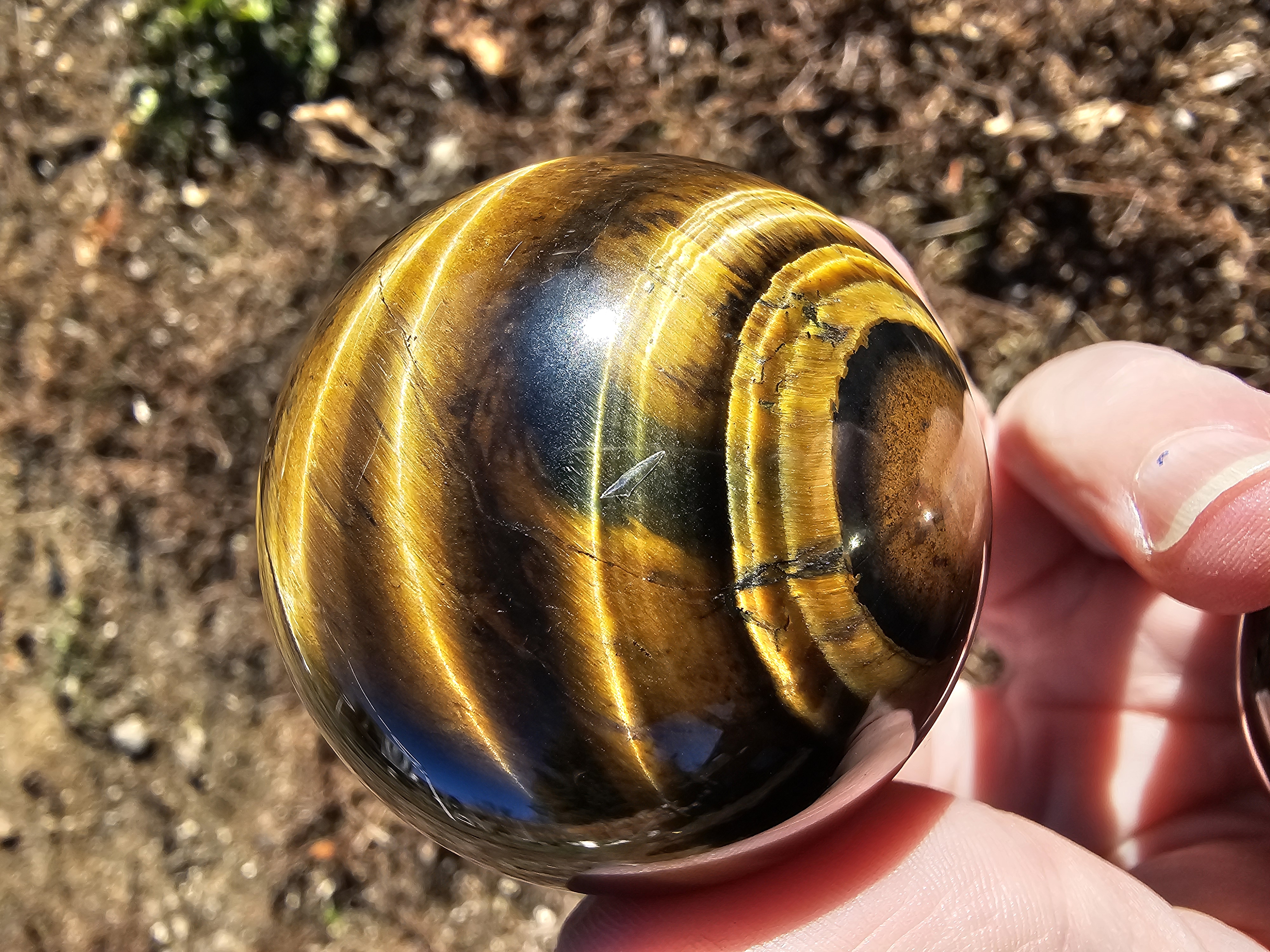 Golden Tiger Eye With Hints of Blue Tiger Eye
