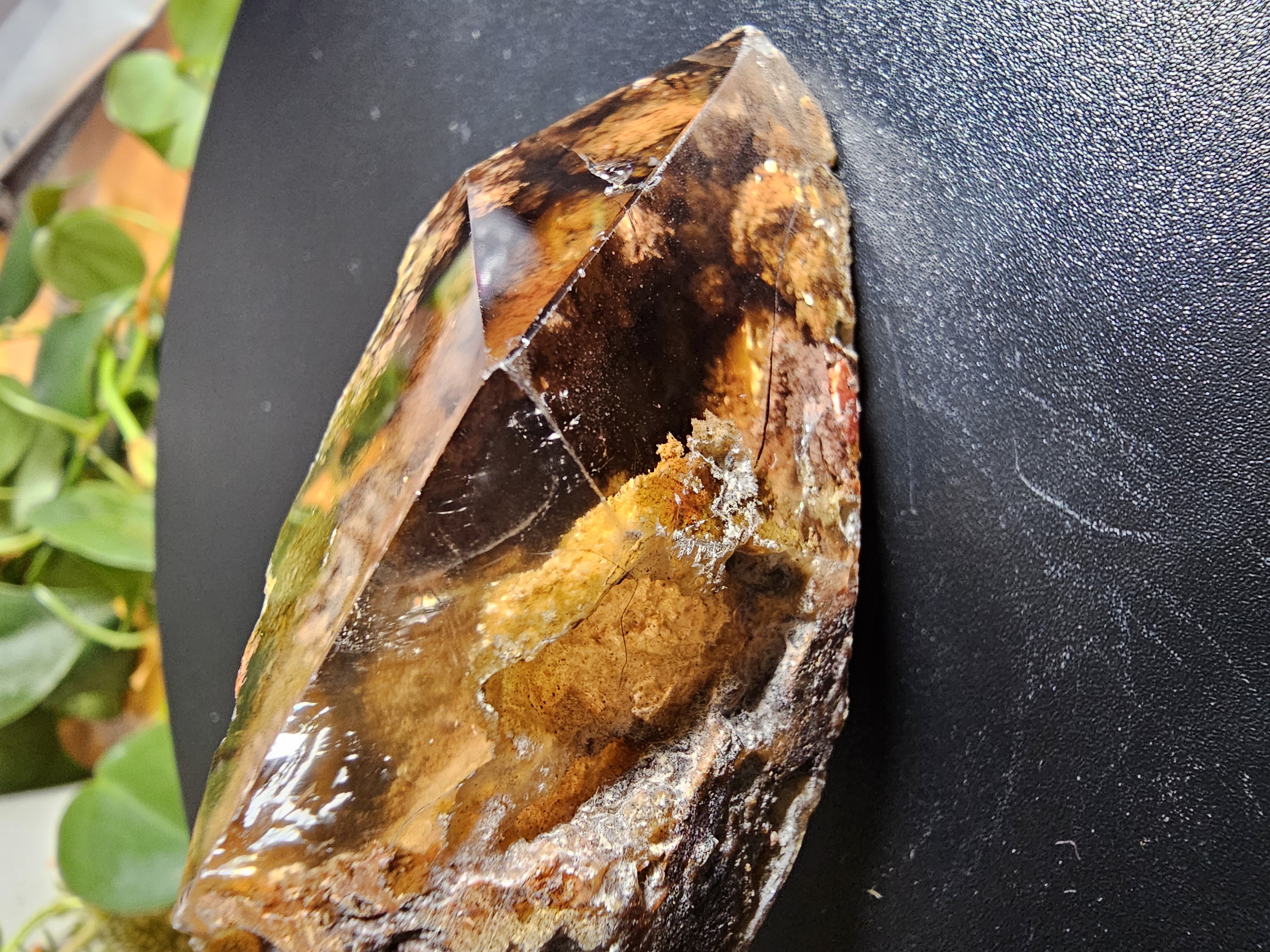 "Rusty Fall Afternoon Garden" Quartz