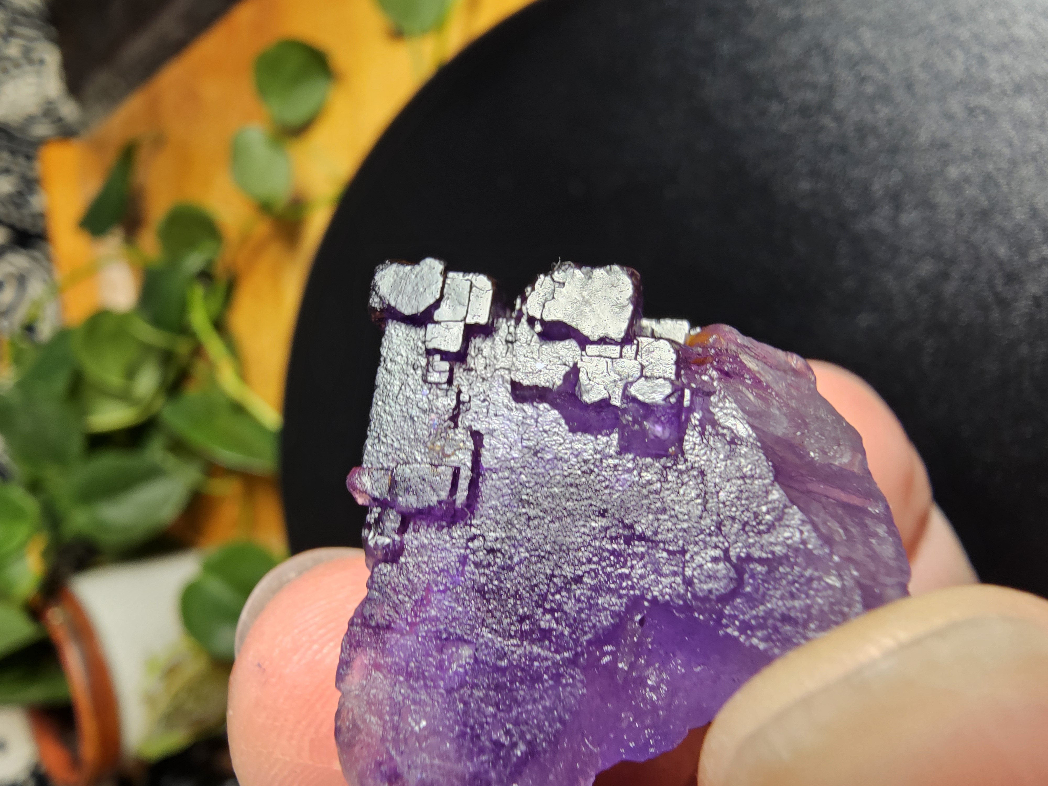 COOL CUBES!  Purple Fluorite Cubic Formation