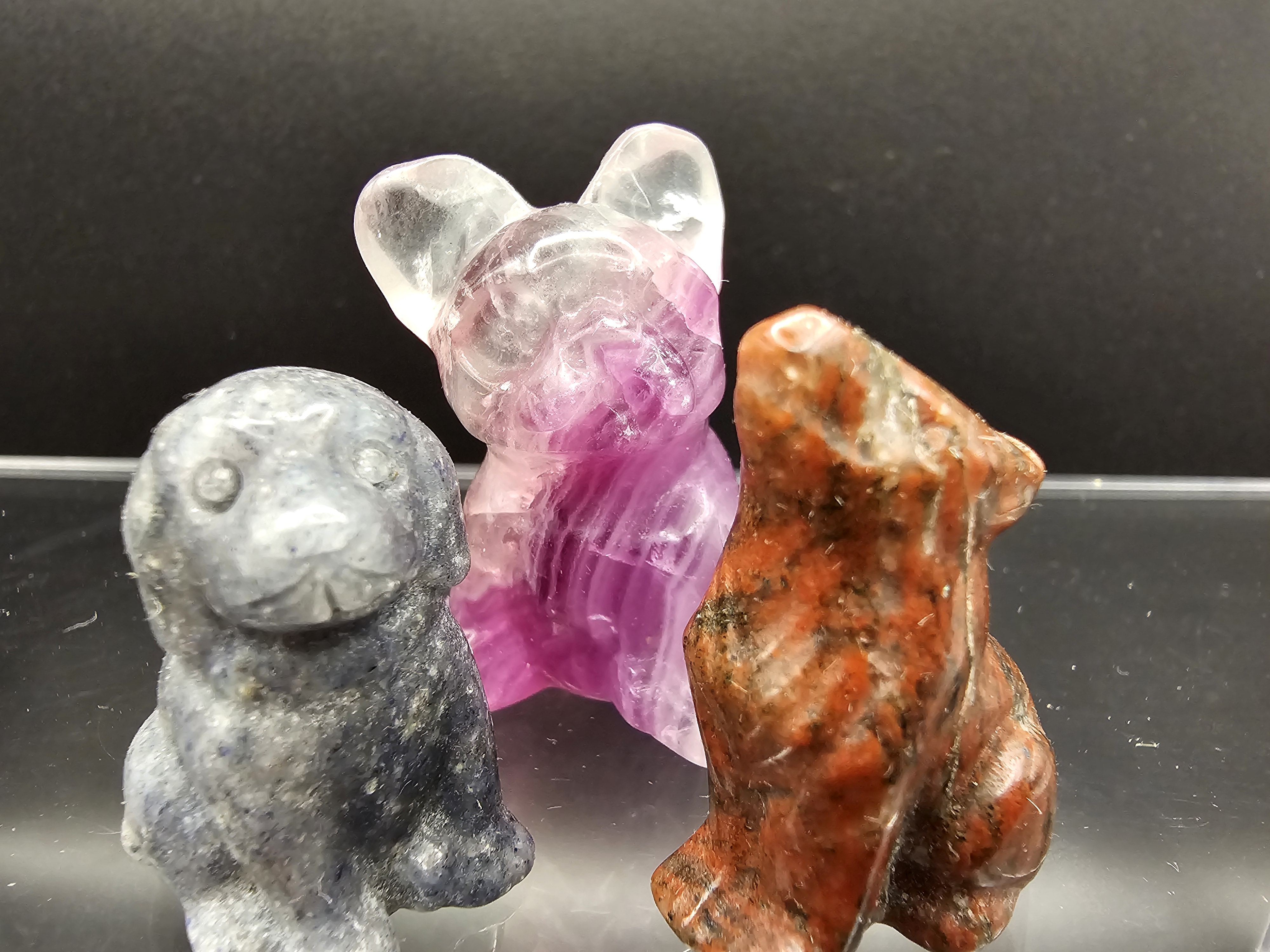 Gift Cards Starting at $25