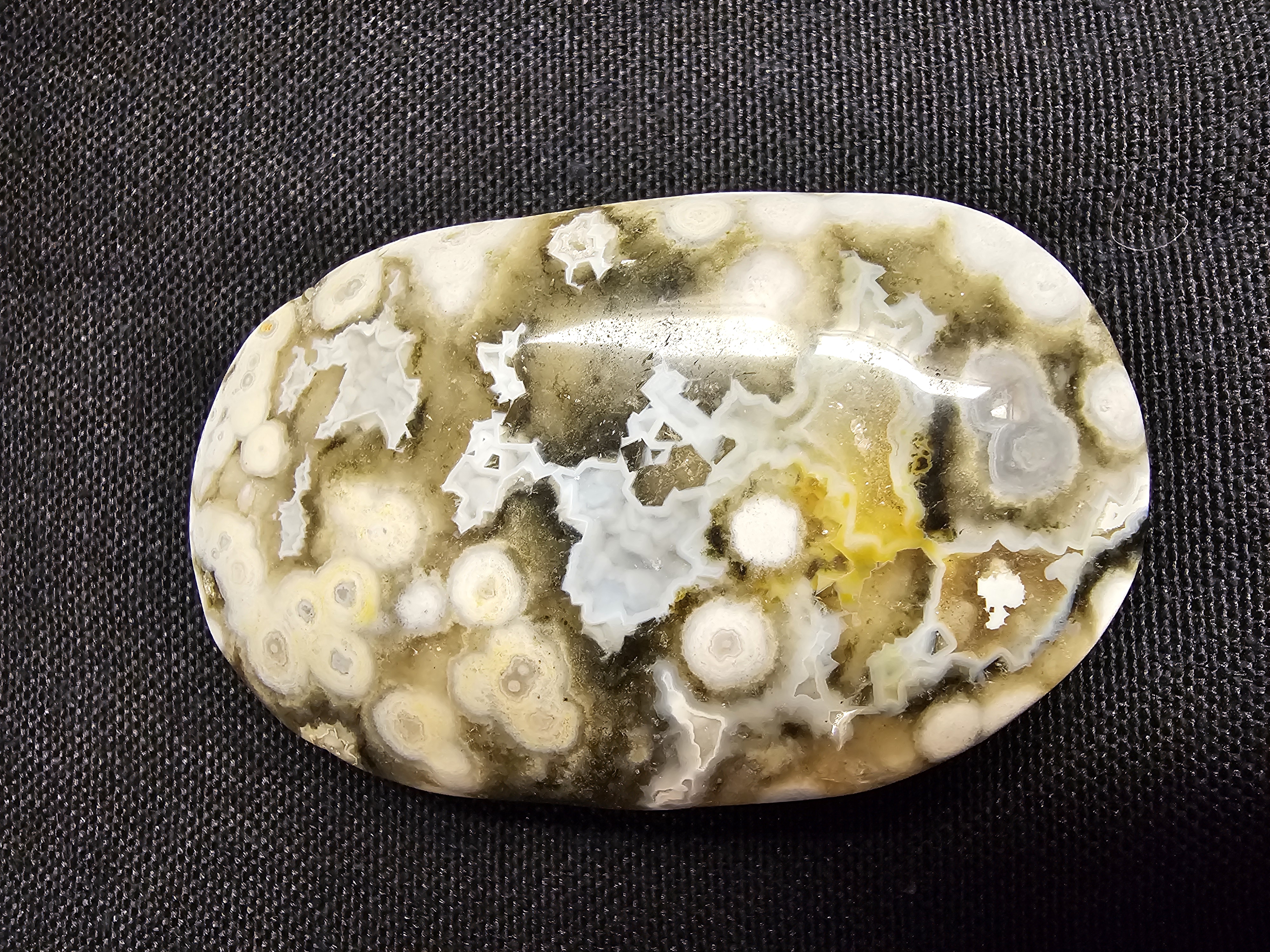 Fantastic 8th Vein bubble ocean jasper palm