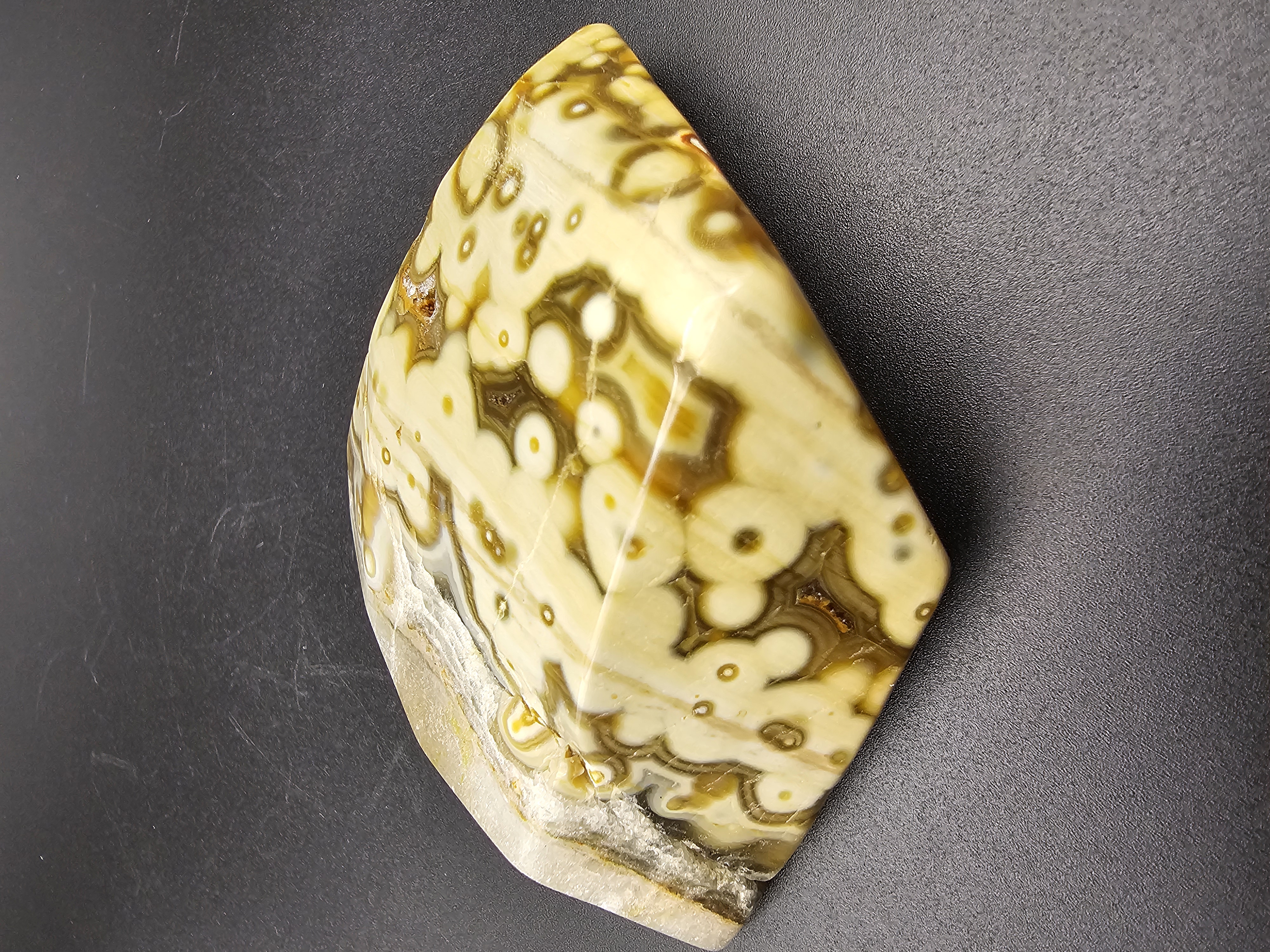 8th Vein Ocean Jasper Free form
