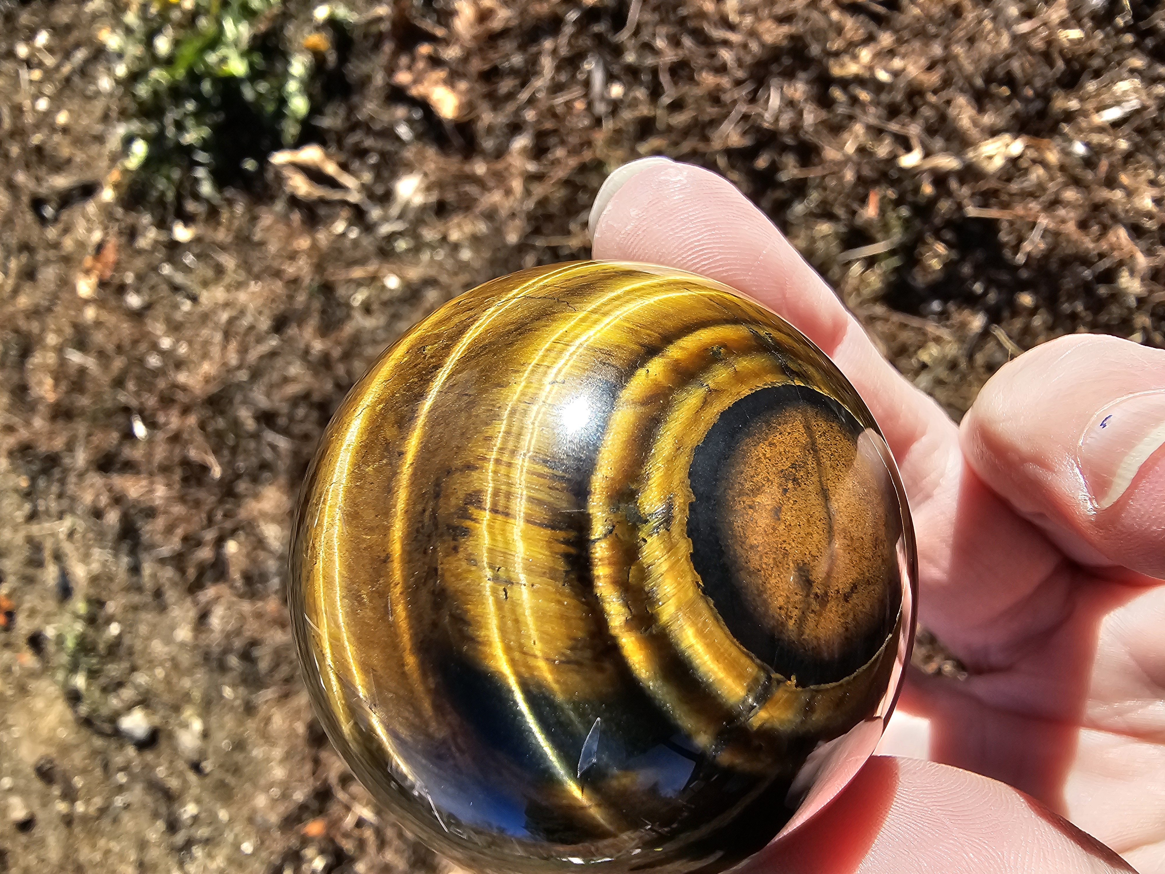 Golden Tiger Eye With Hints of Blue Tiger Eye