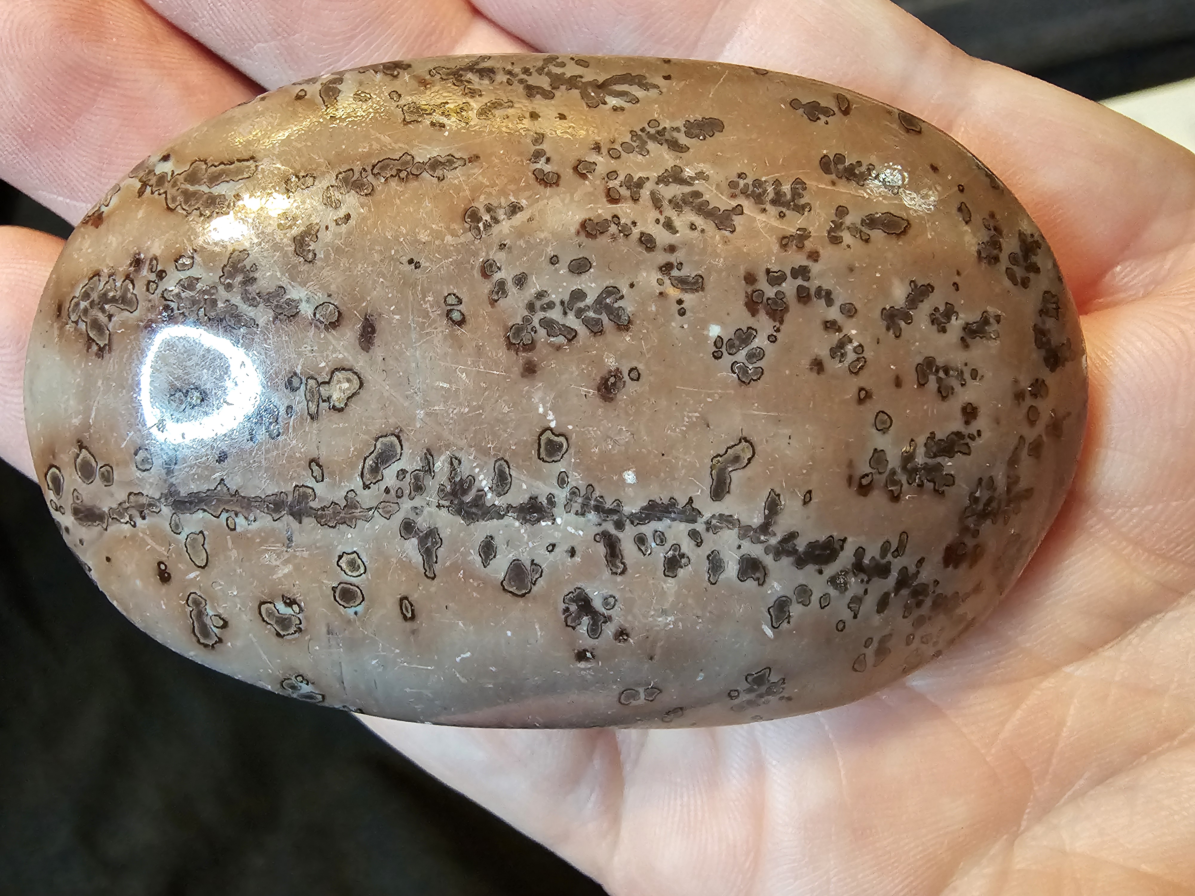 Large Purple Picture Jasper palm