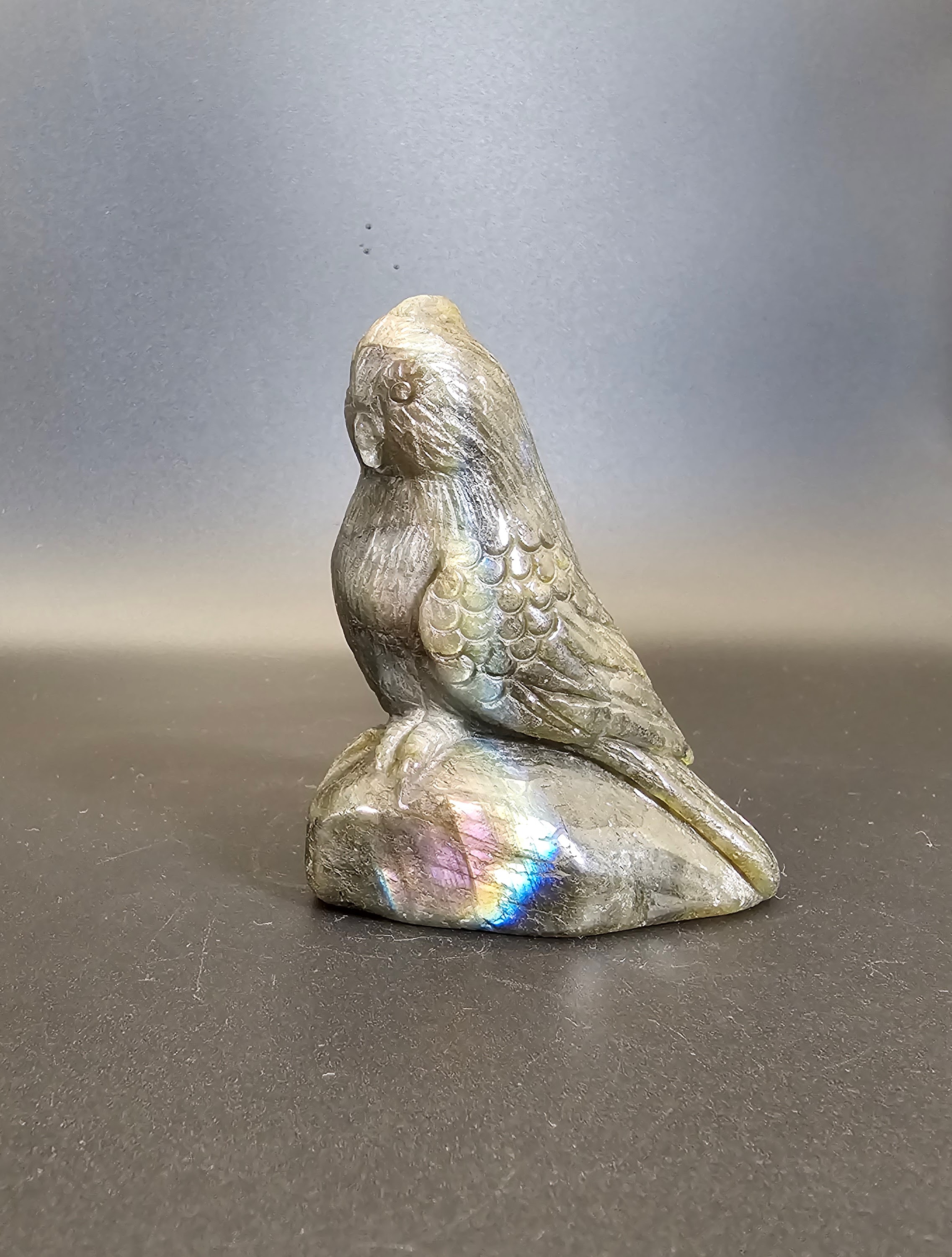 Hand Carved Labradorite Parakeet