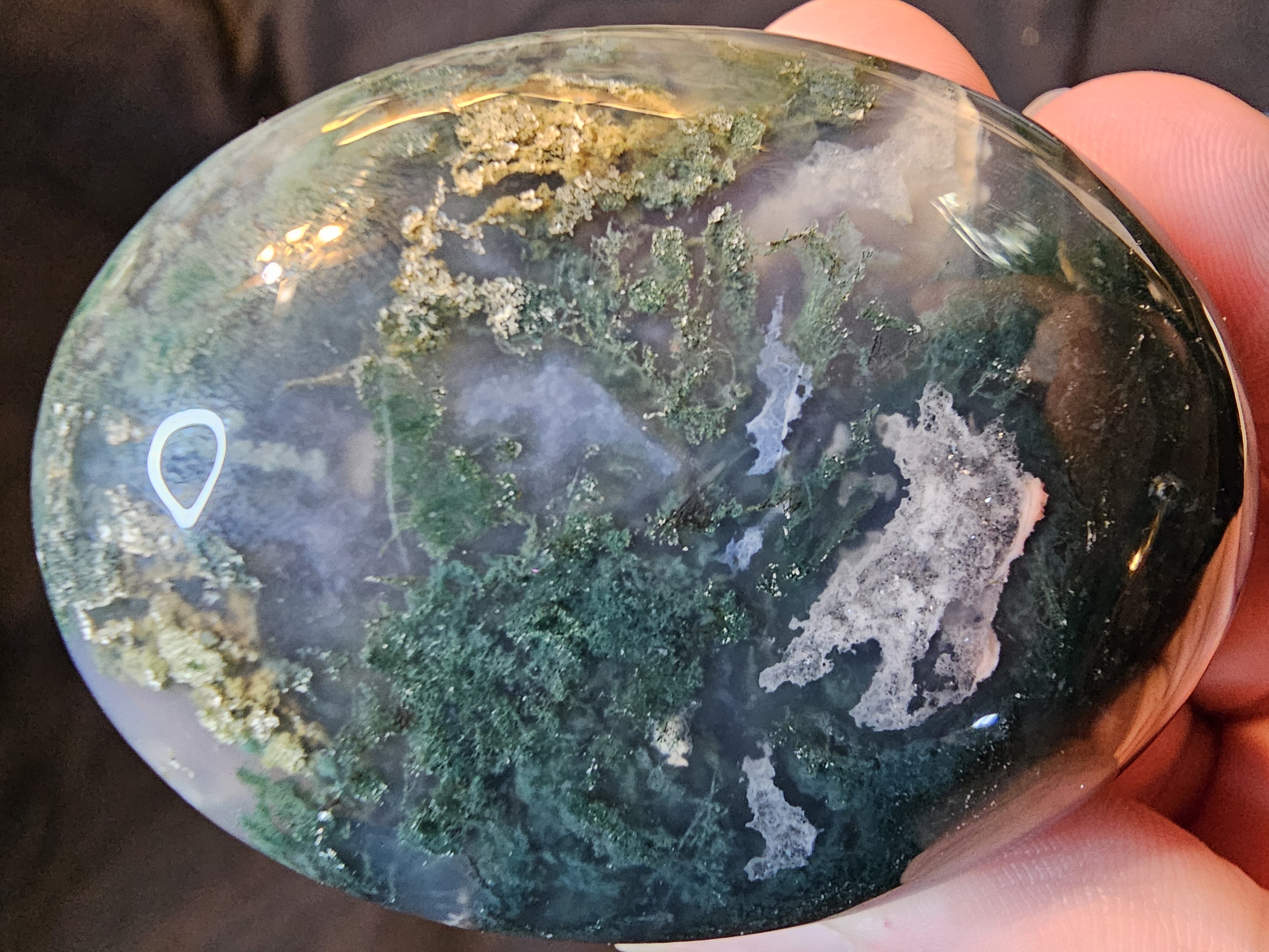Incredible details and color in this classic Moss agate palm