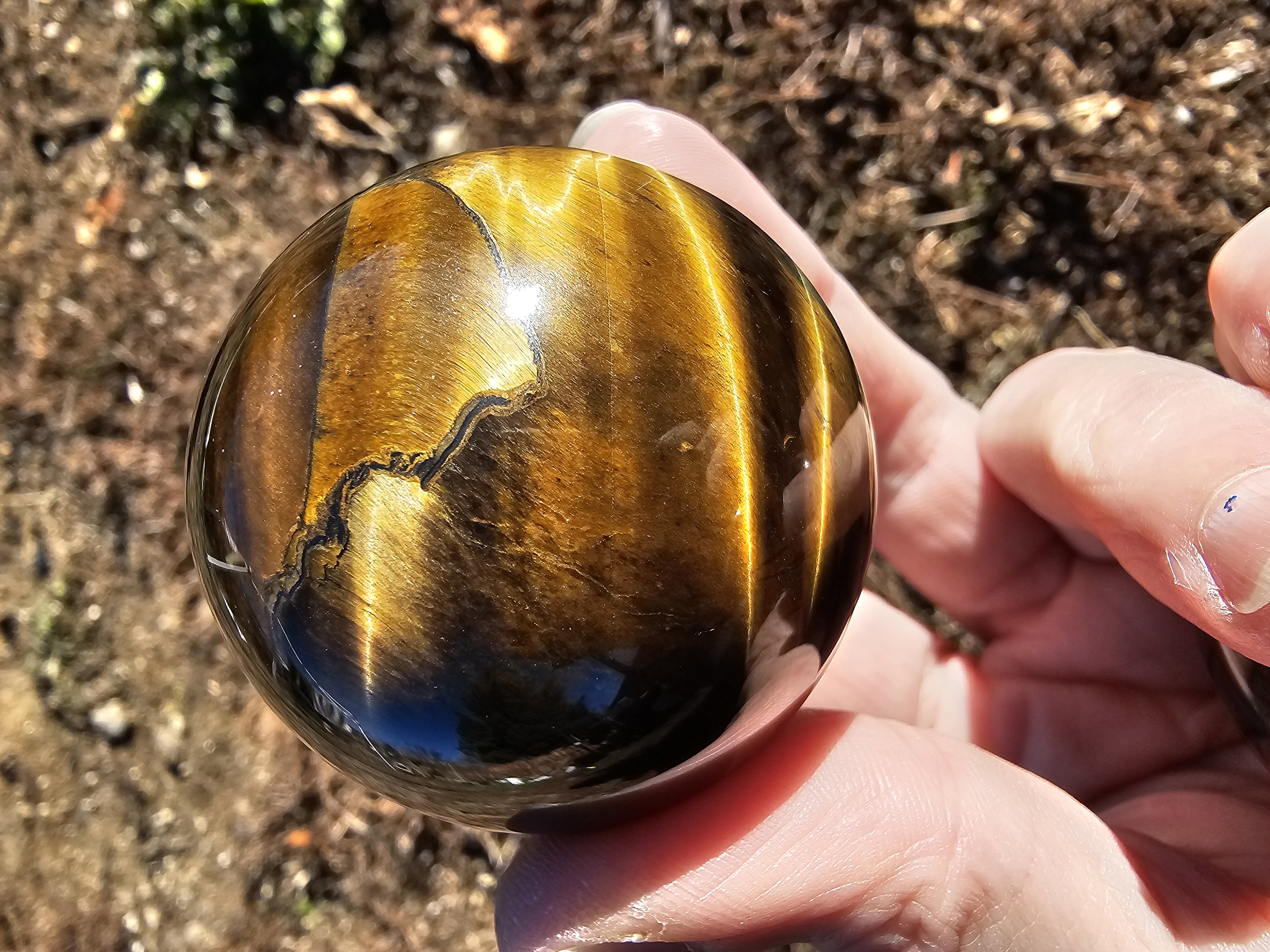 Golden Tiger Eye With Hints of Blue Tiger Eye