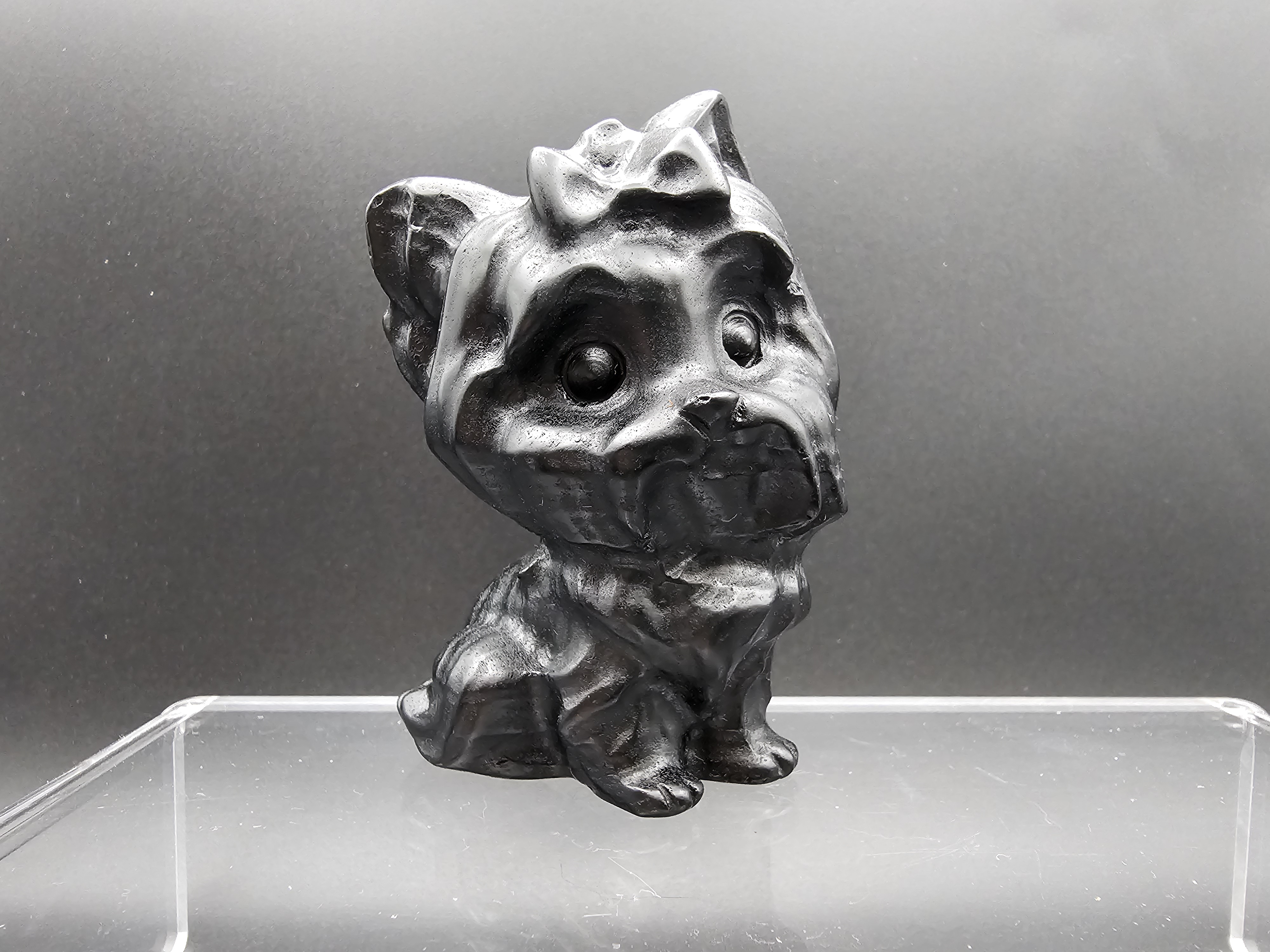 Adorable Obsidian Yorkshire Terrier Carving