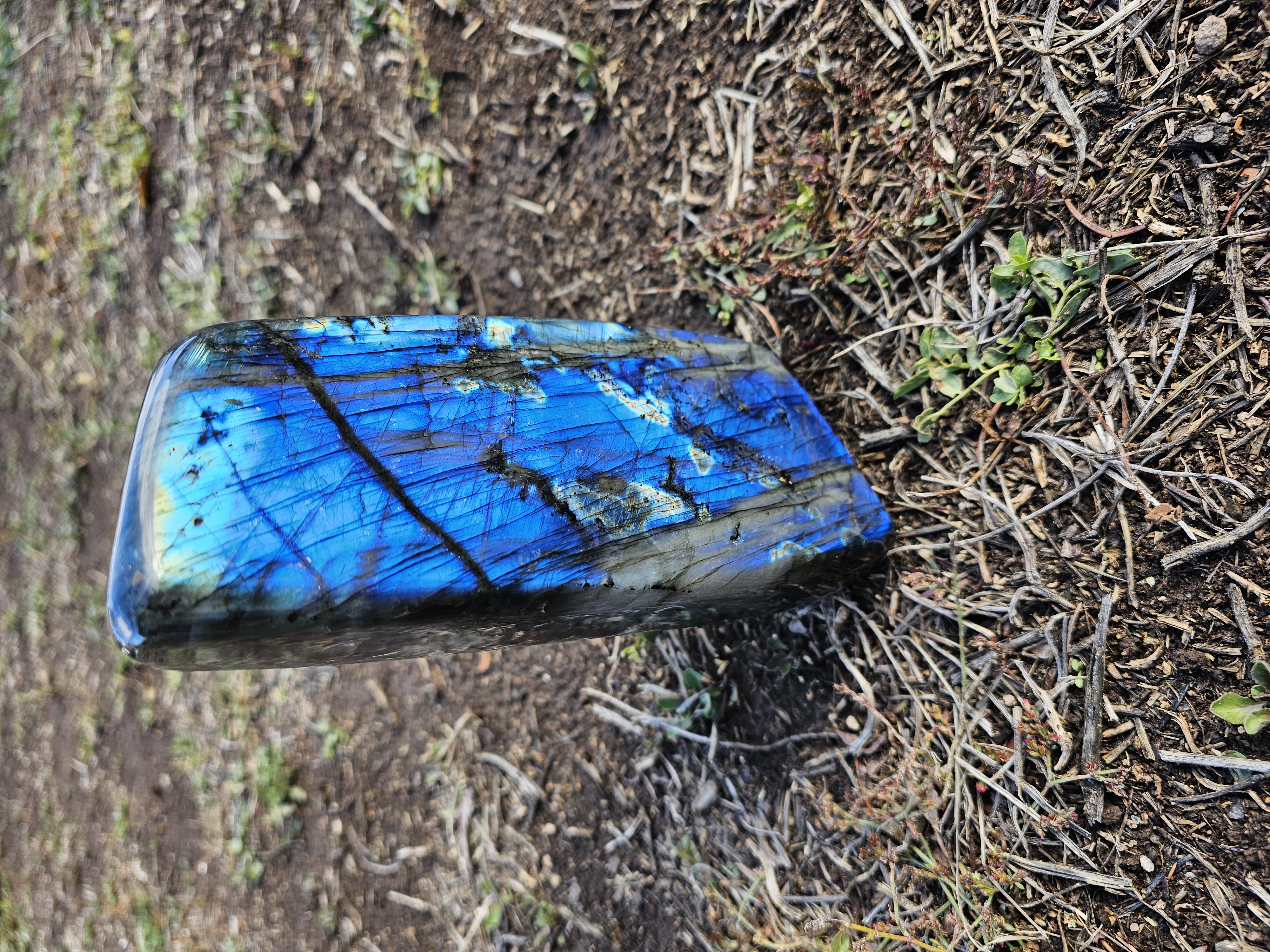 INCREDIBLE Labradorite free form