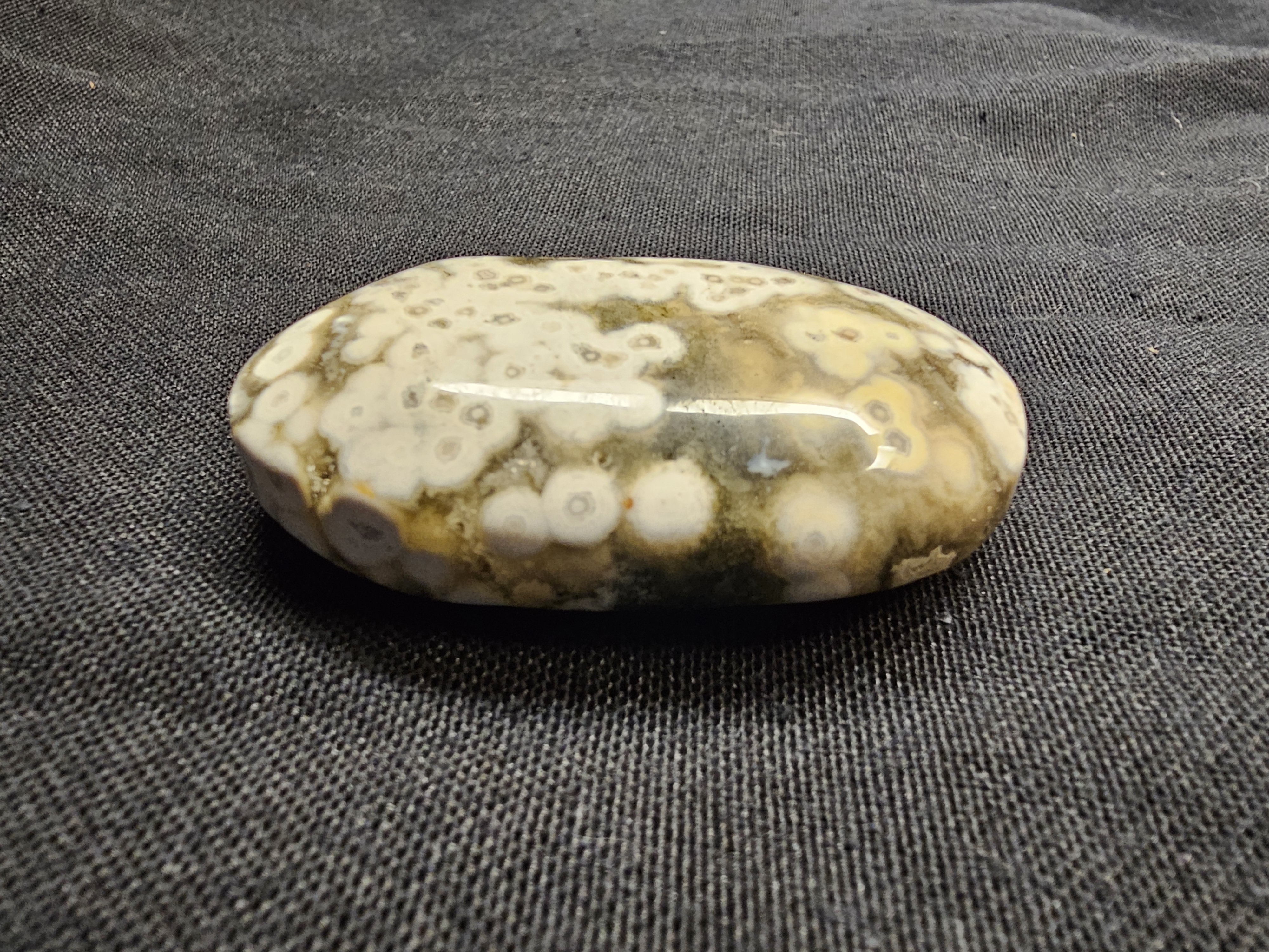 Fantastic 8th Vein bubble ocean jasper palm
