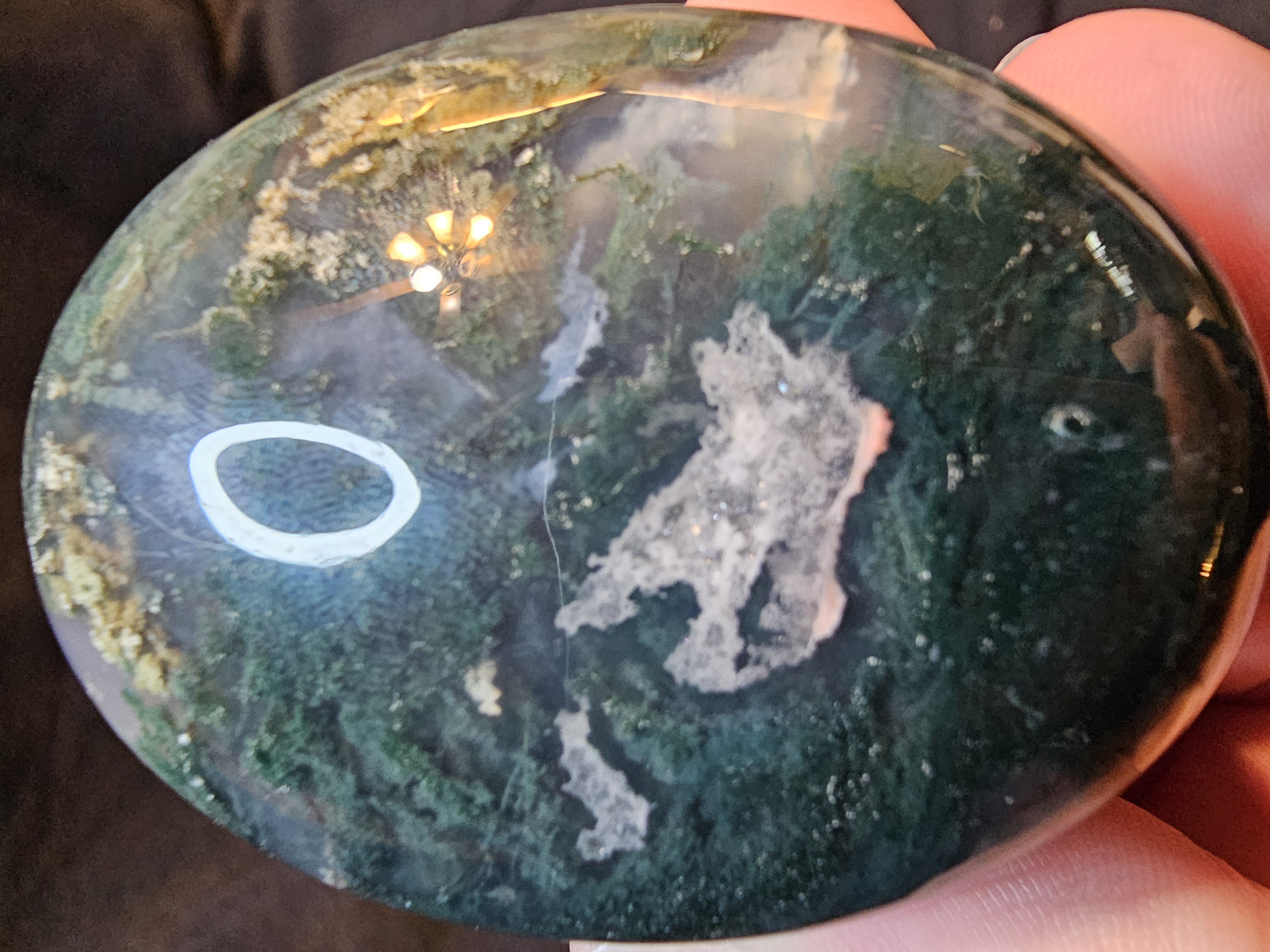 Incredible details and color in this classic Moss agate palm