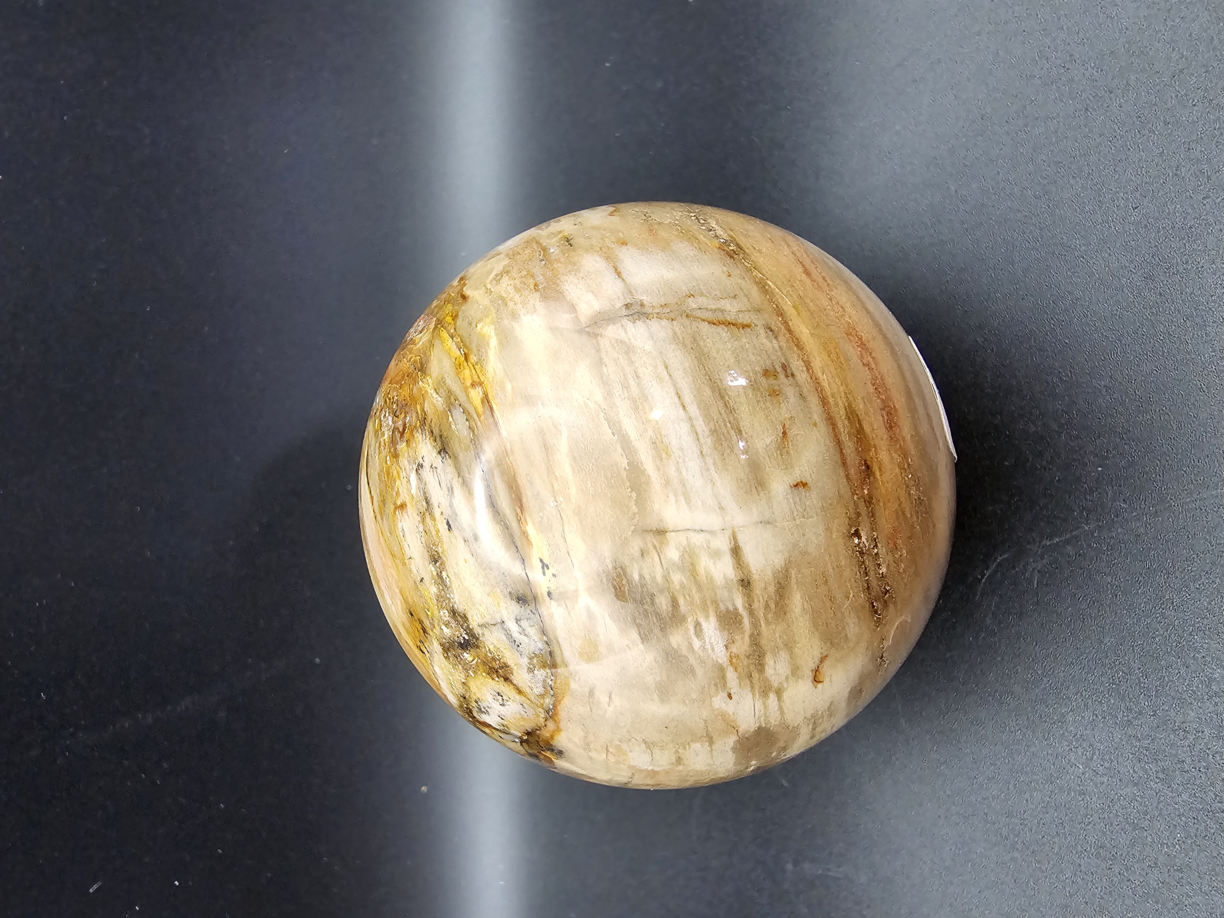 Fantastic Petrified Wood Sphere!