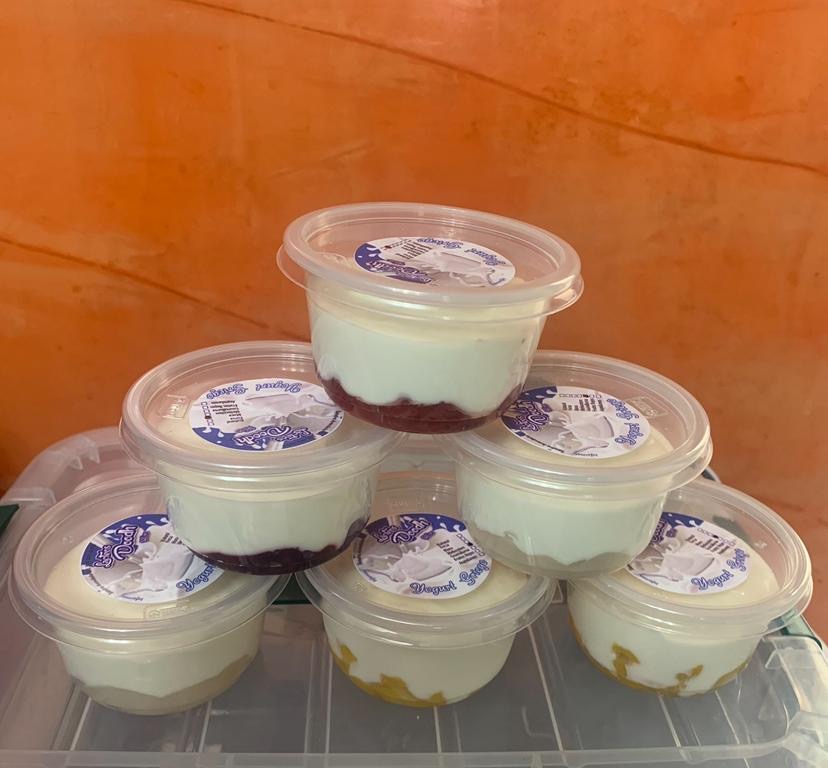 Yogurt Griego Natural Personal