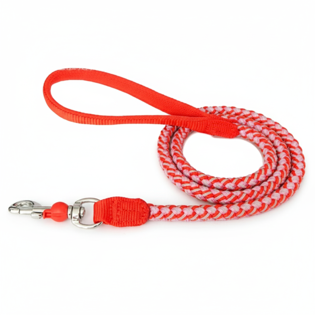 Braided Red Pet Collar and Belt