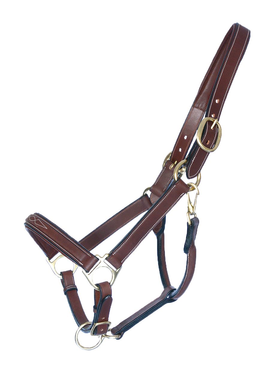 Premium Leather Horse Gear