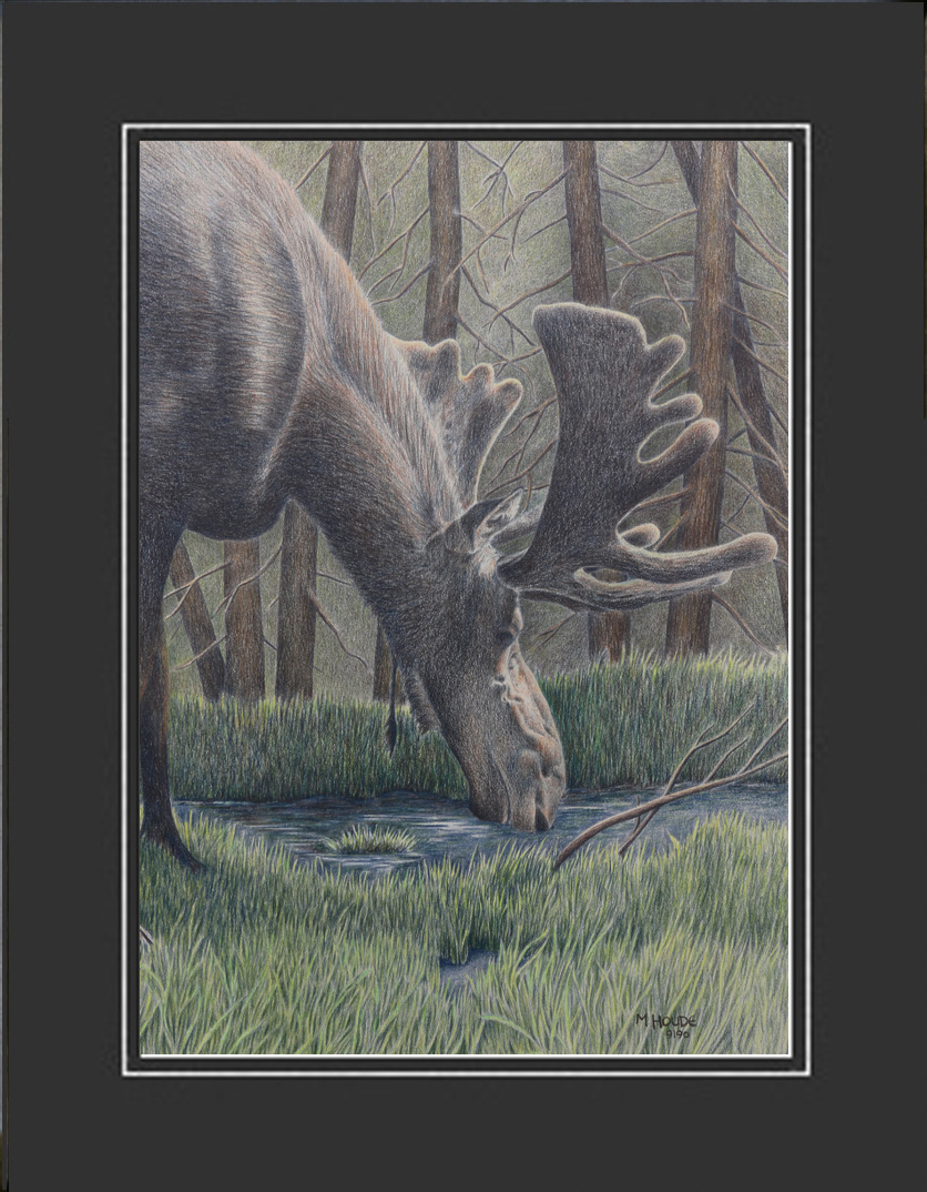 "Velvet Light" - Artist Print