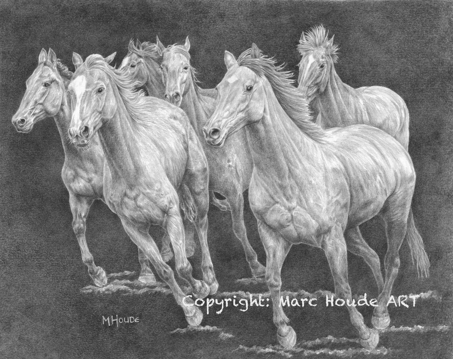 "On The Loose" - Art Card