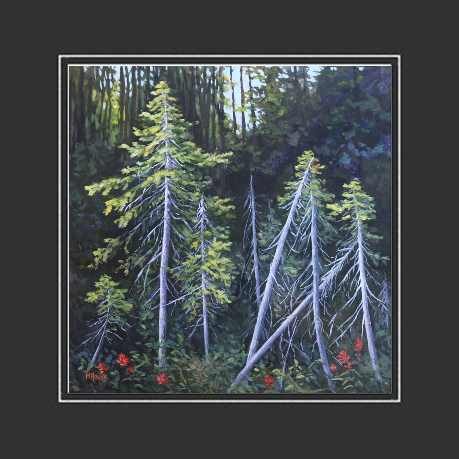 "Trees Illuminated" - Artist Print