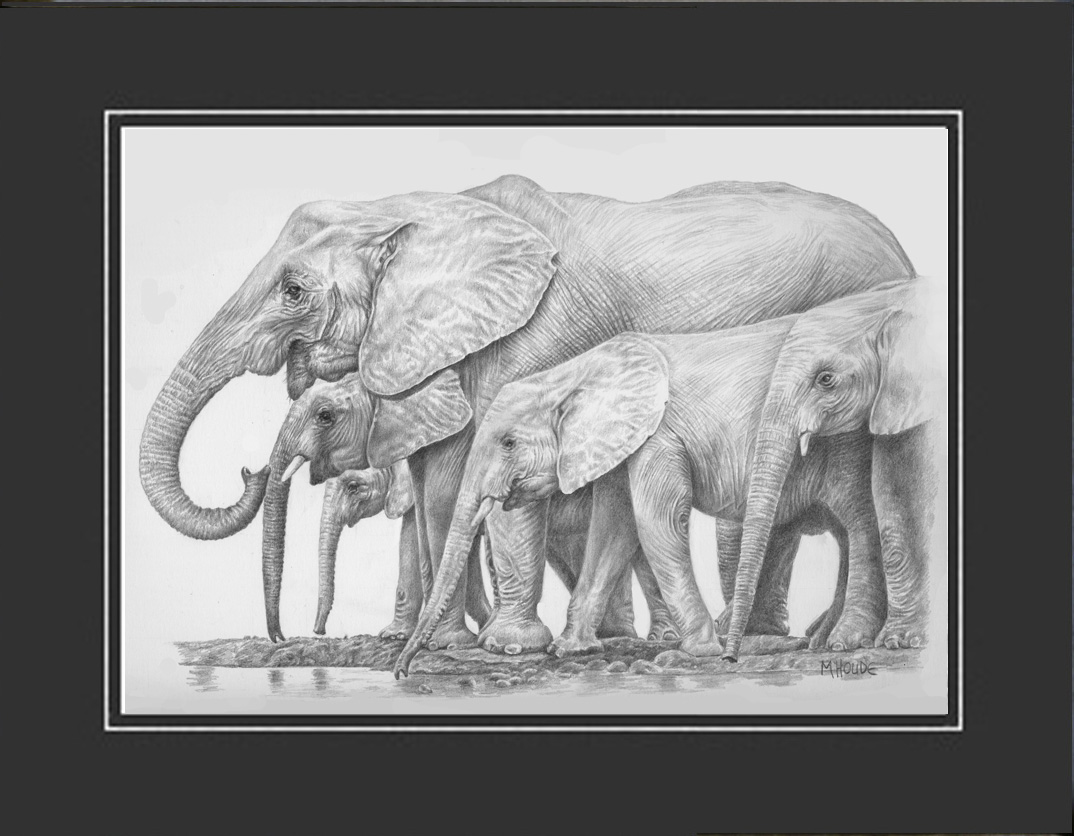 "Watering Hole" - Artist Print