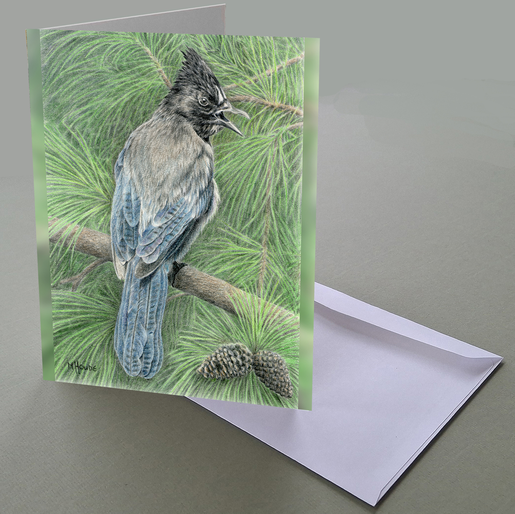 "Stellars Jay" - Art Card