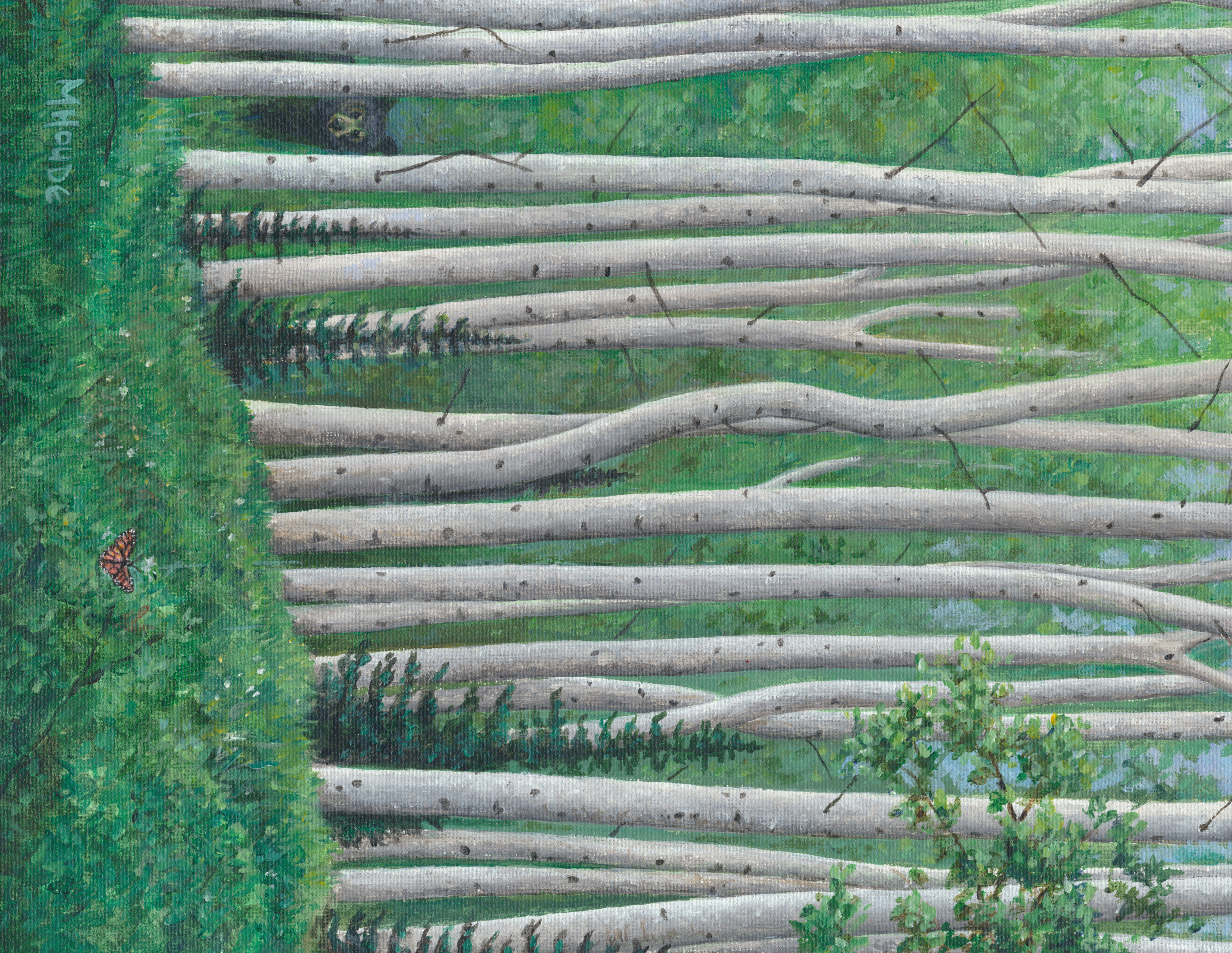 "Conifers in Birch - Summer" - Art Card