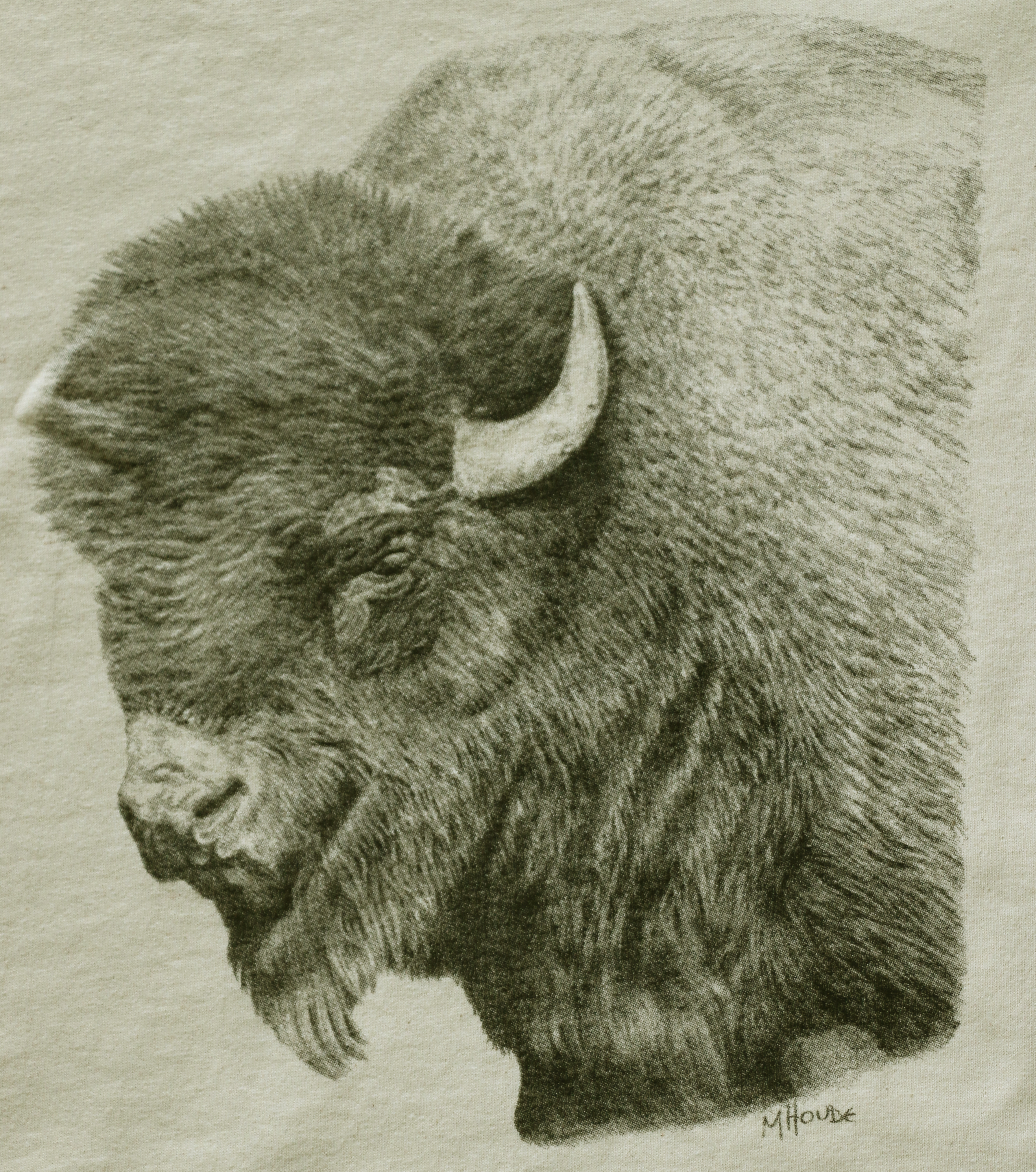 Bison - T-Shirt