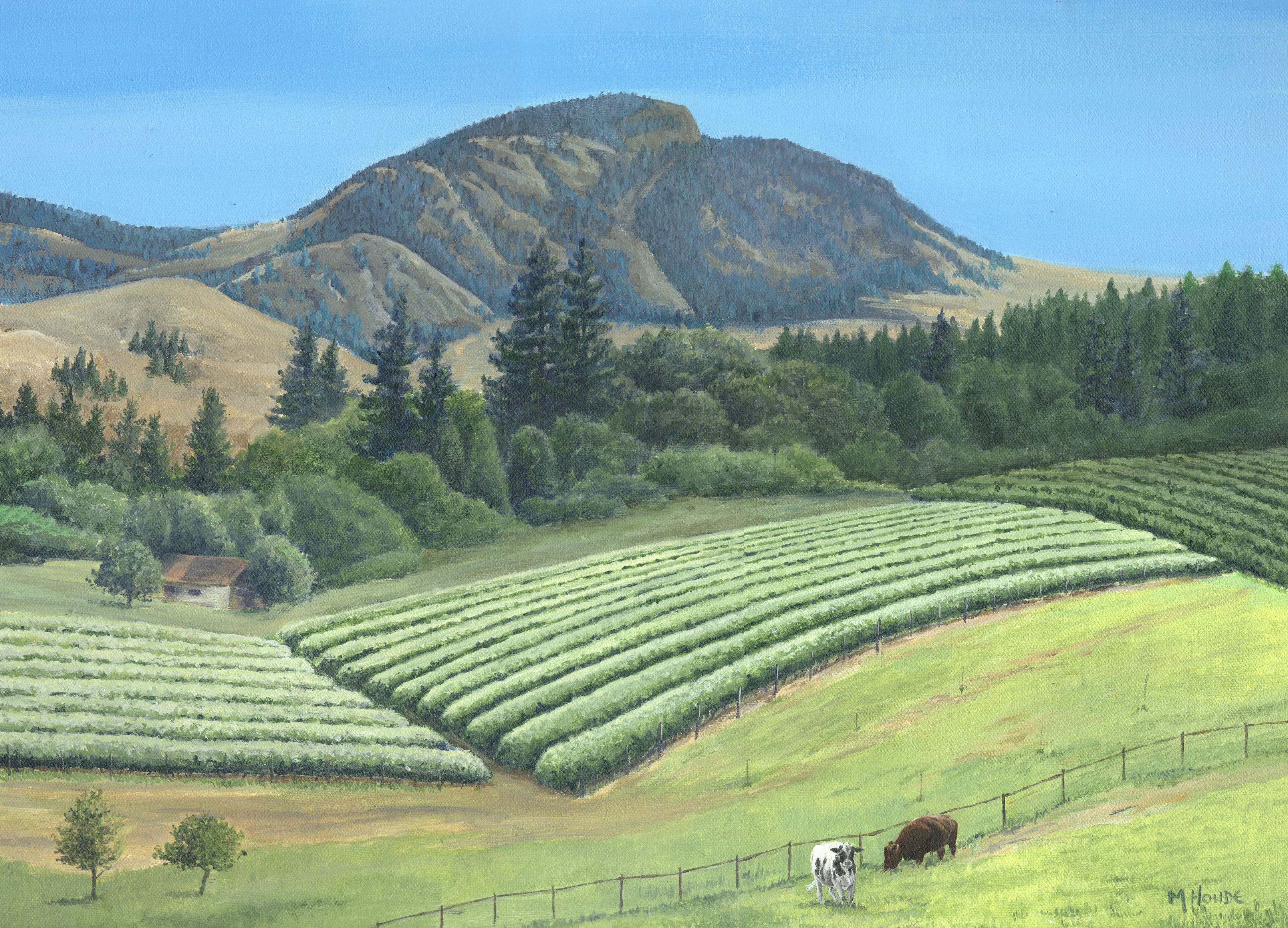 "Belgo" - Artist Print