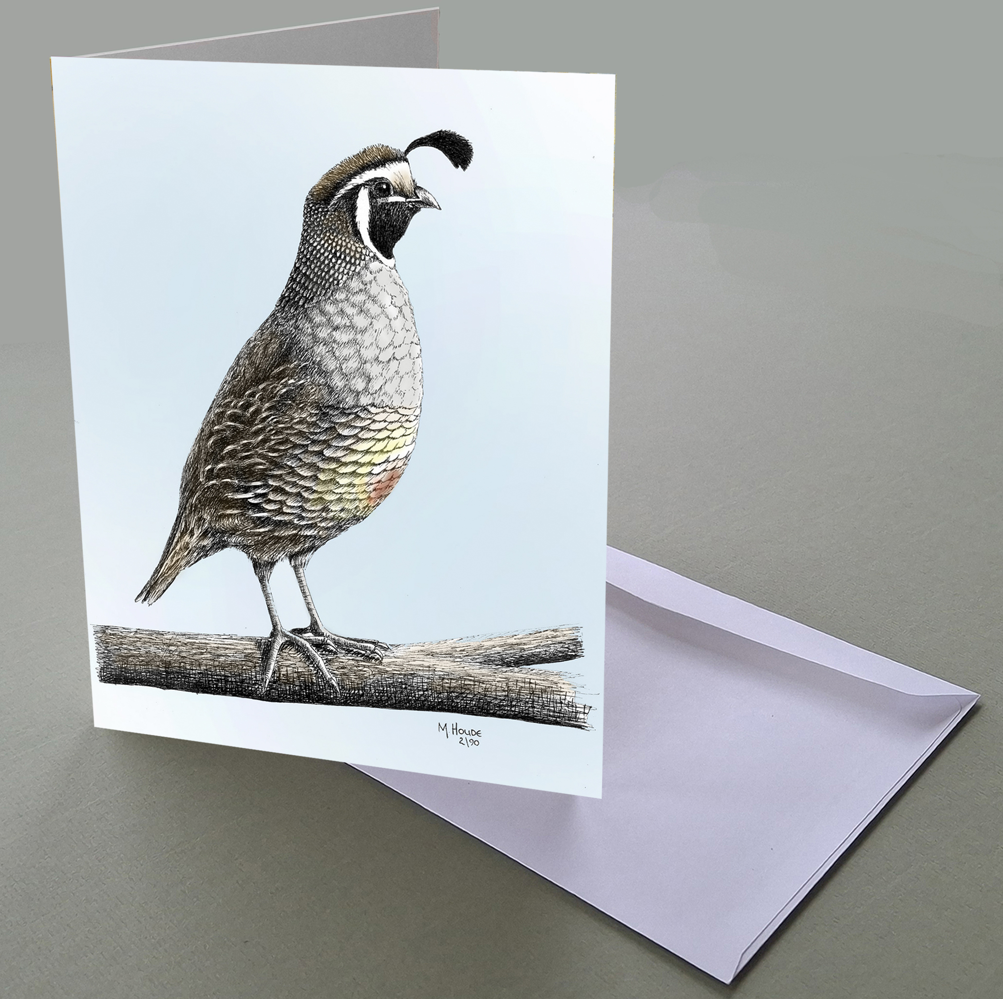 "California Quail: - Art Card