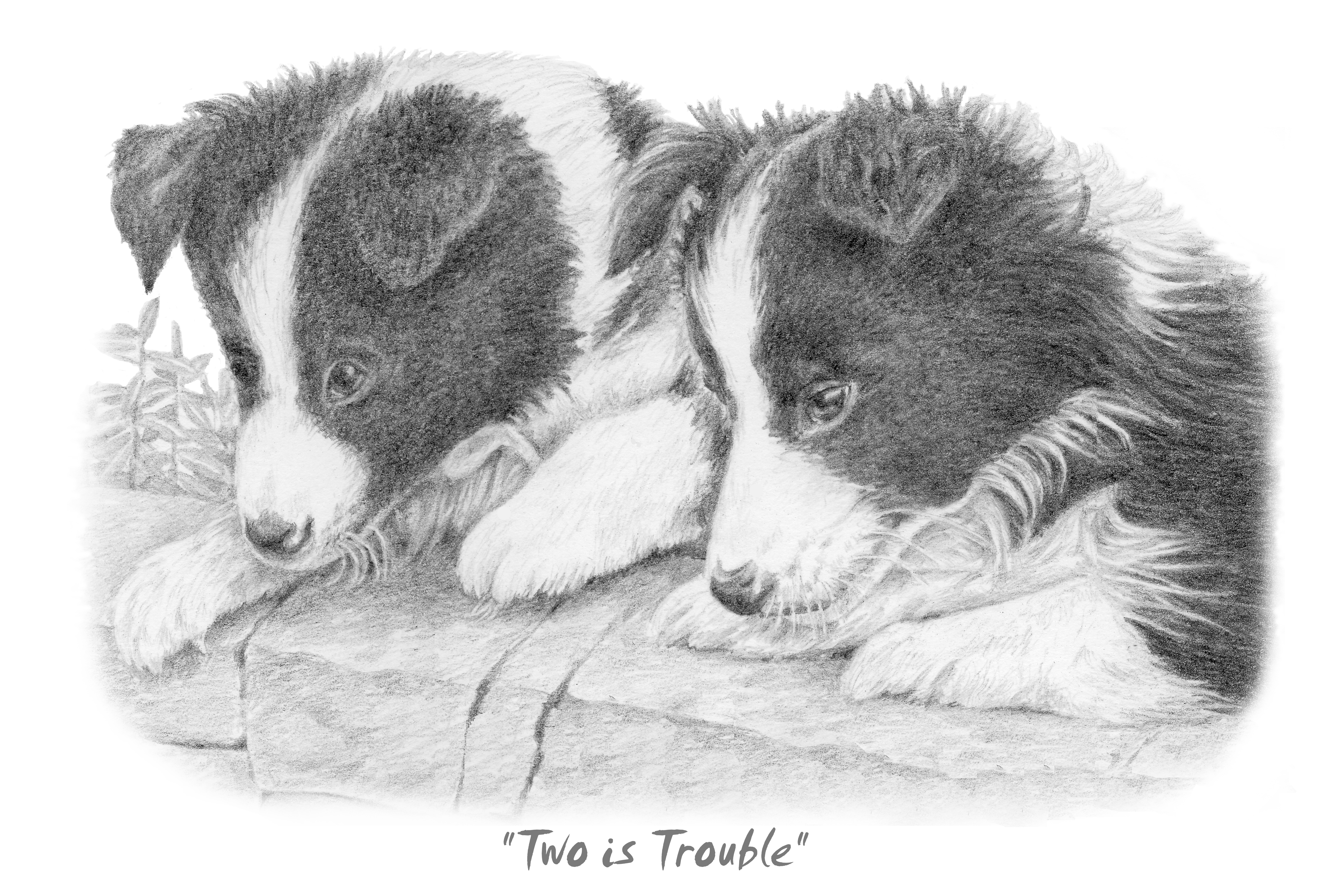 "Two's Trouble" - Art Card