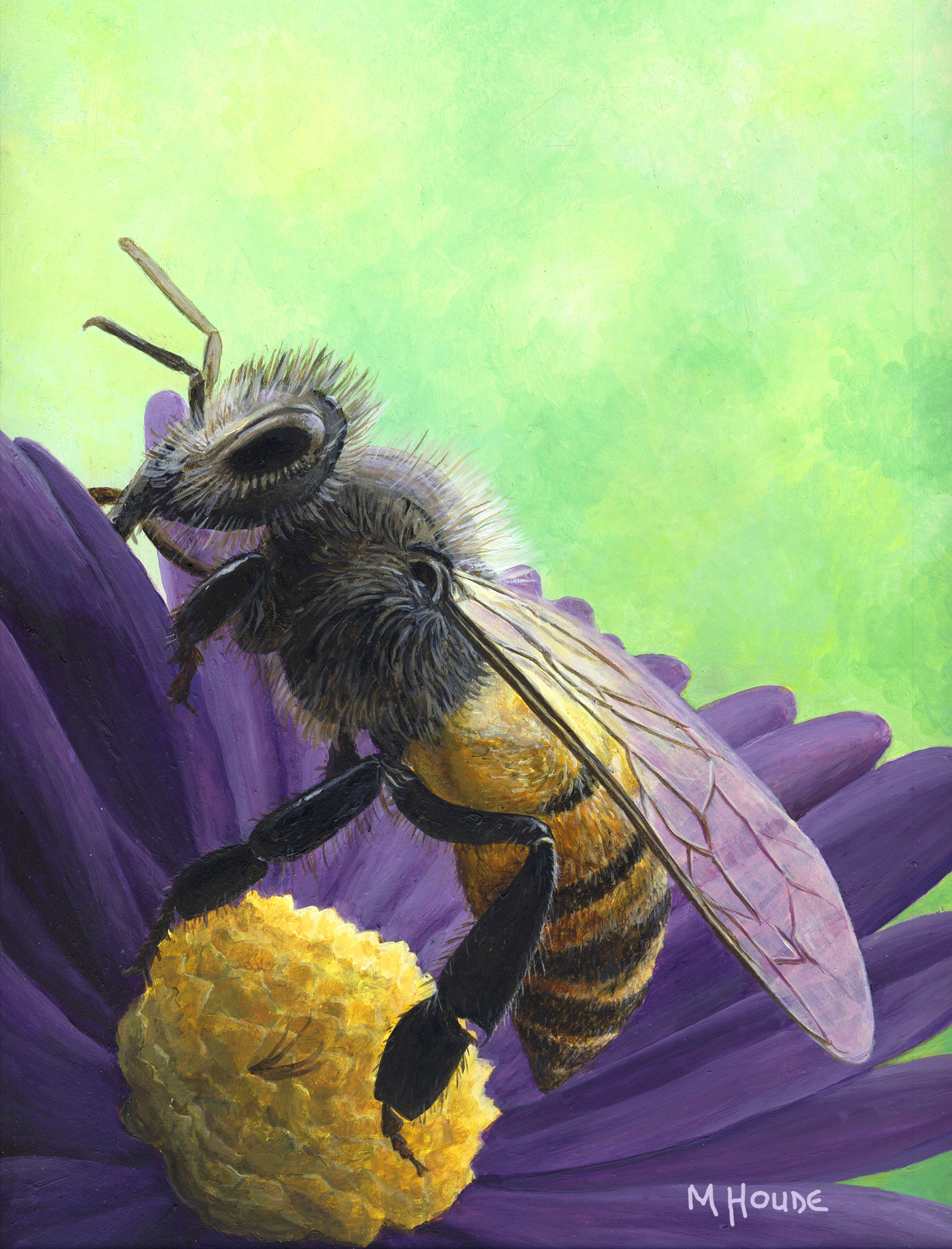 "Honey Bee" - Art Card