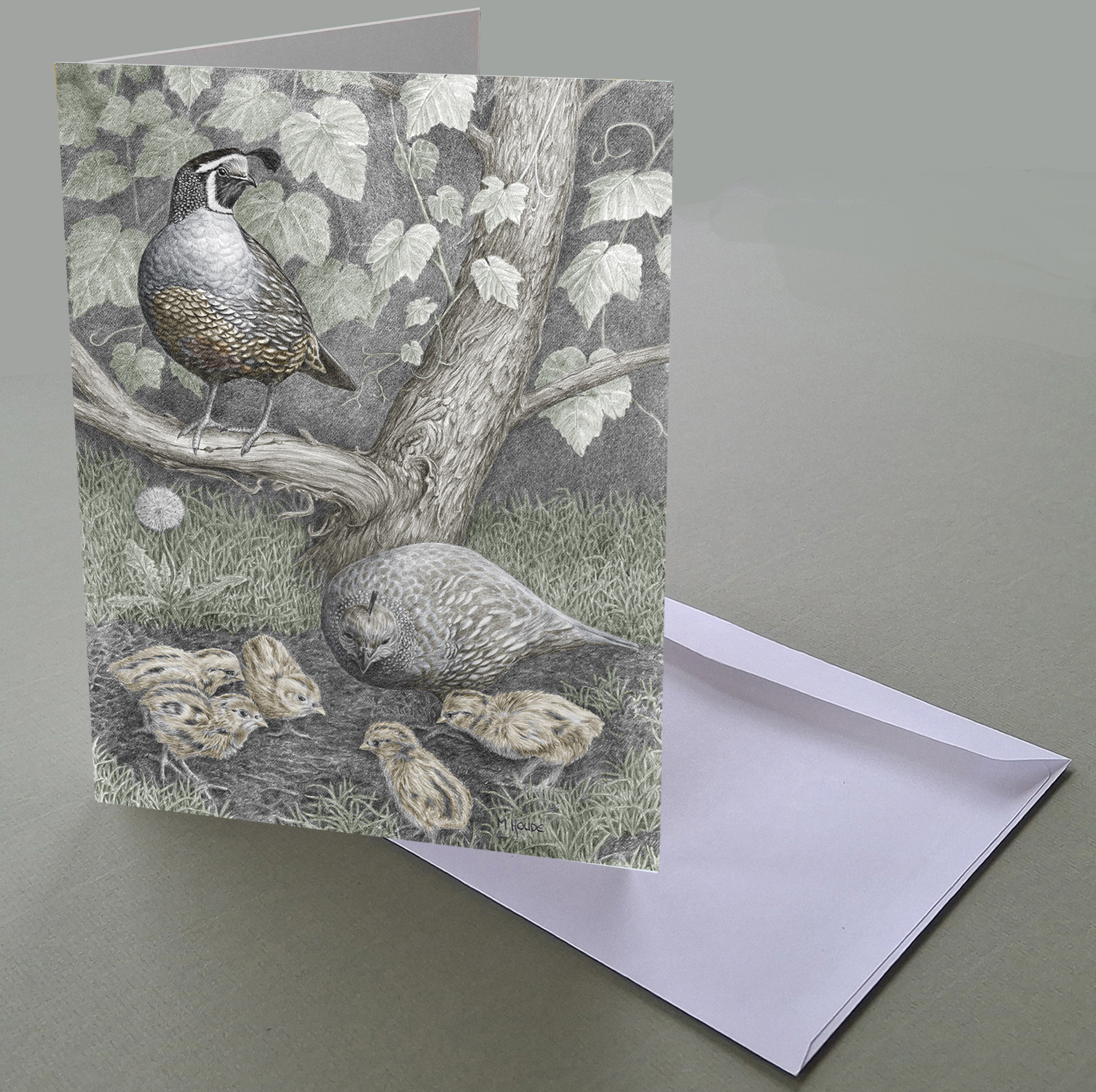 "California Quail Family" - Art Card