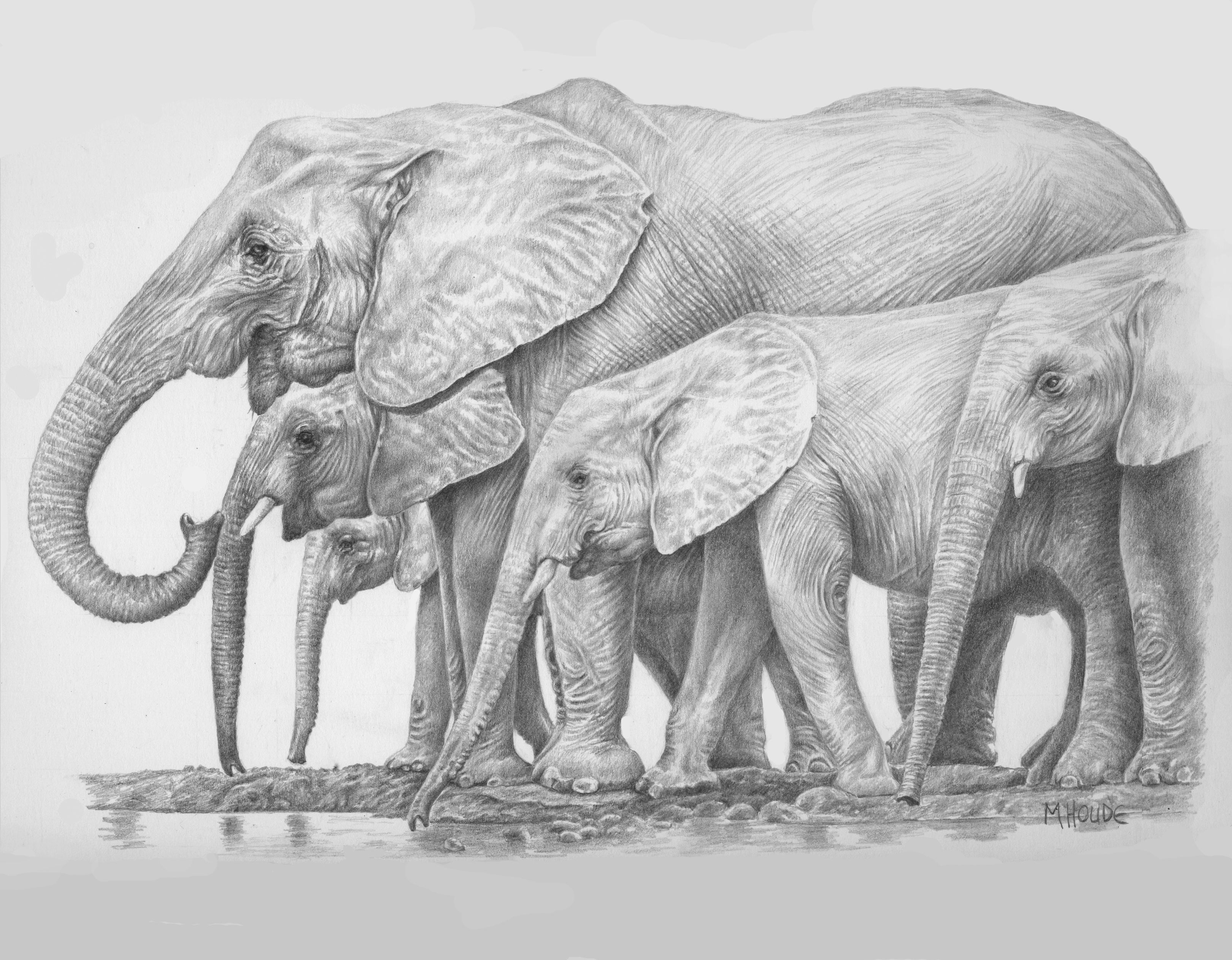 "Watering Hole" - Art Card