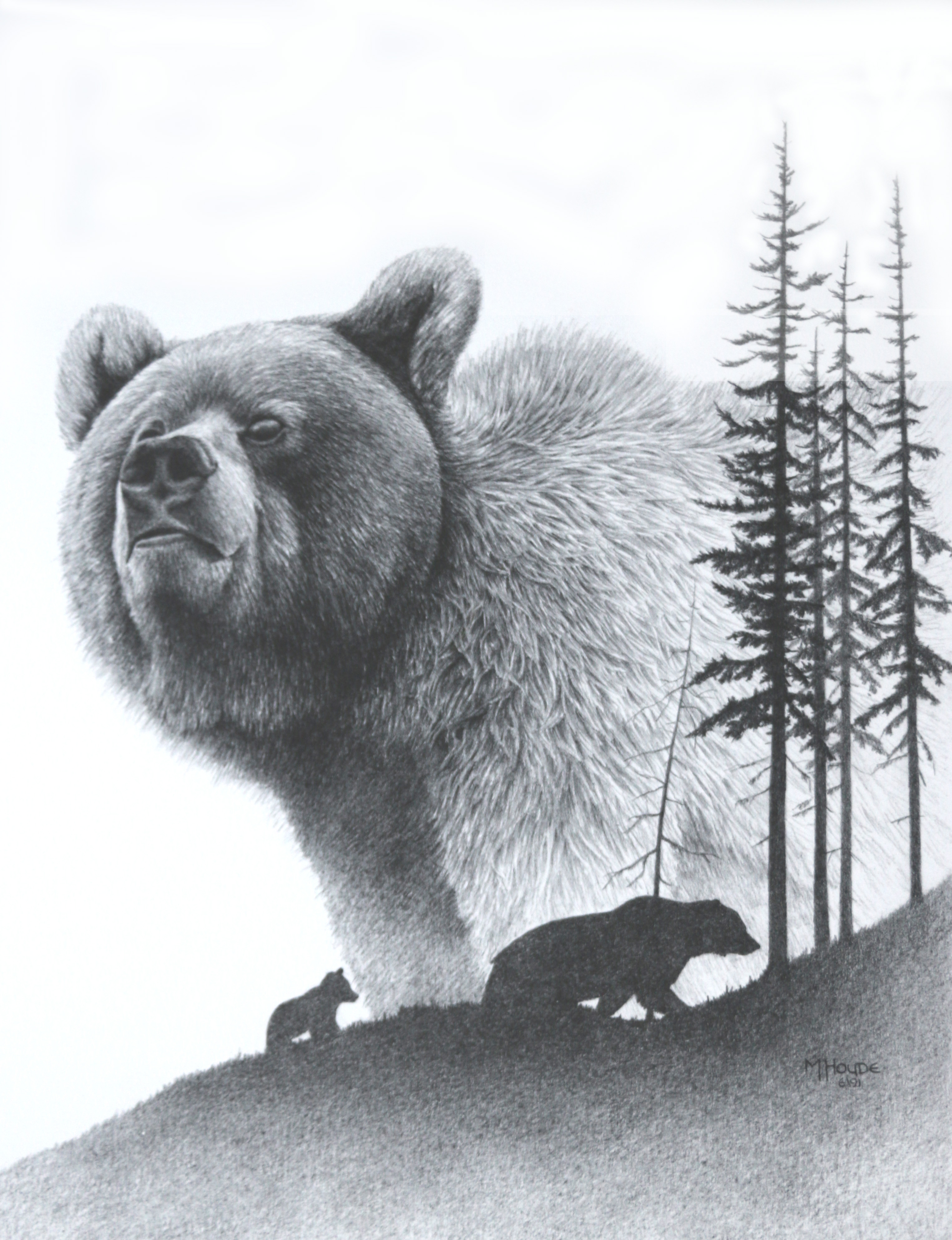 "Grizzly" - Artist Print