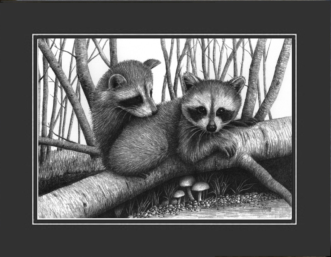 "Raccoons" - Artist Print