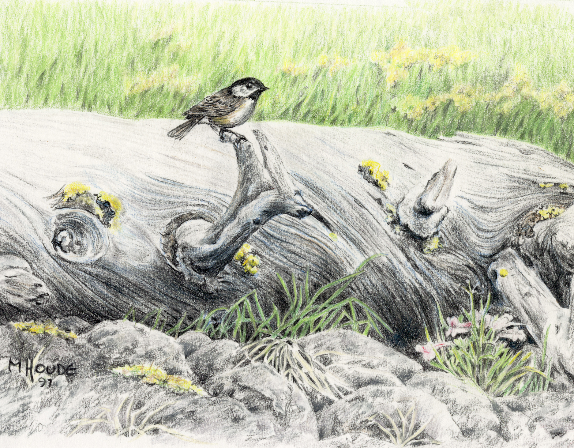 "Chickadee" - Art Card