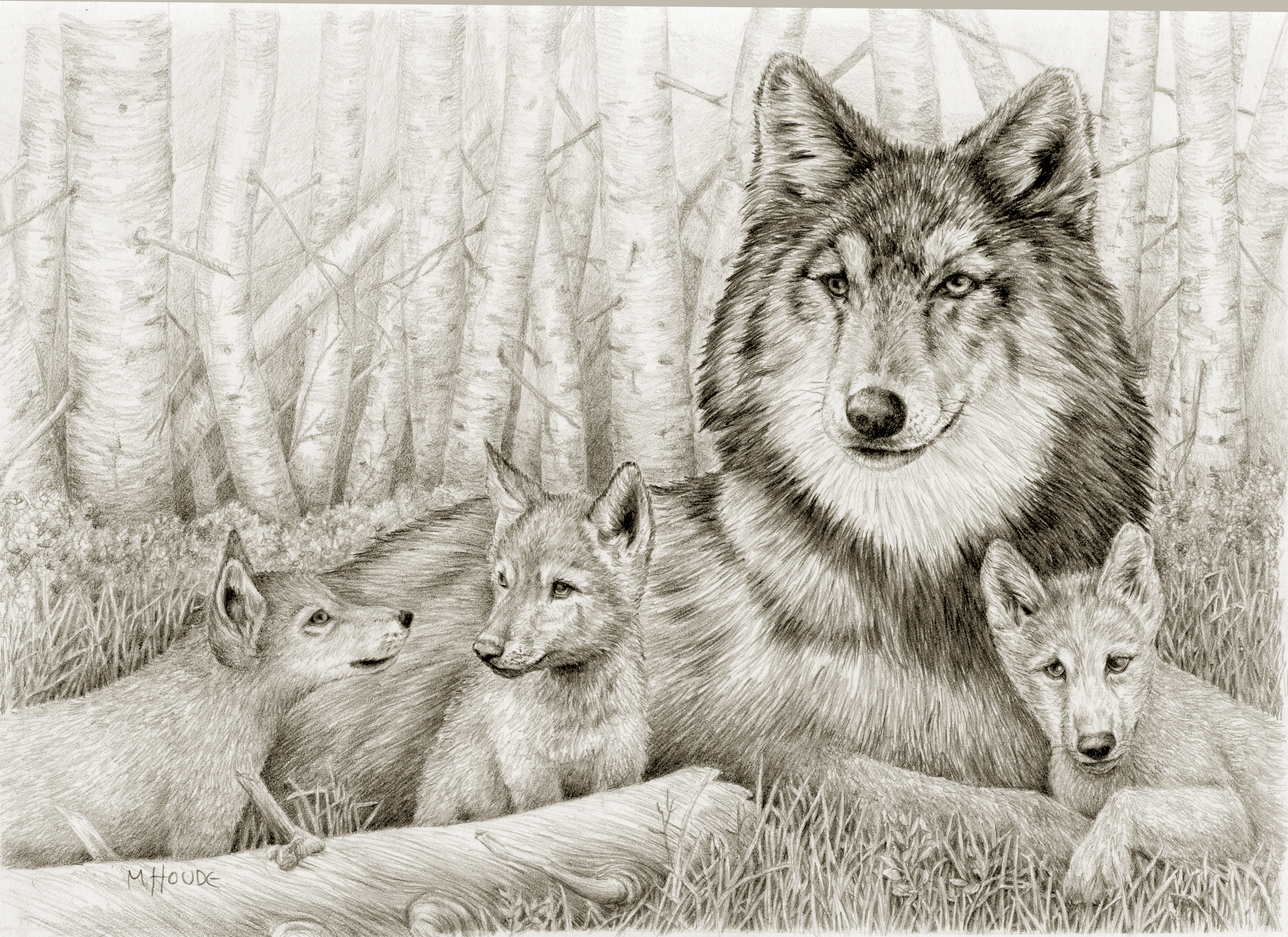 "Instigator" - Artist Print