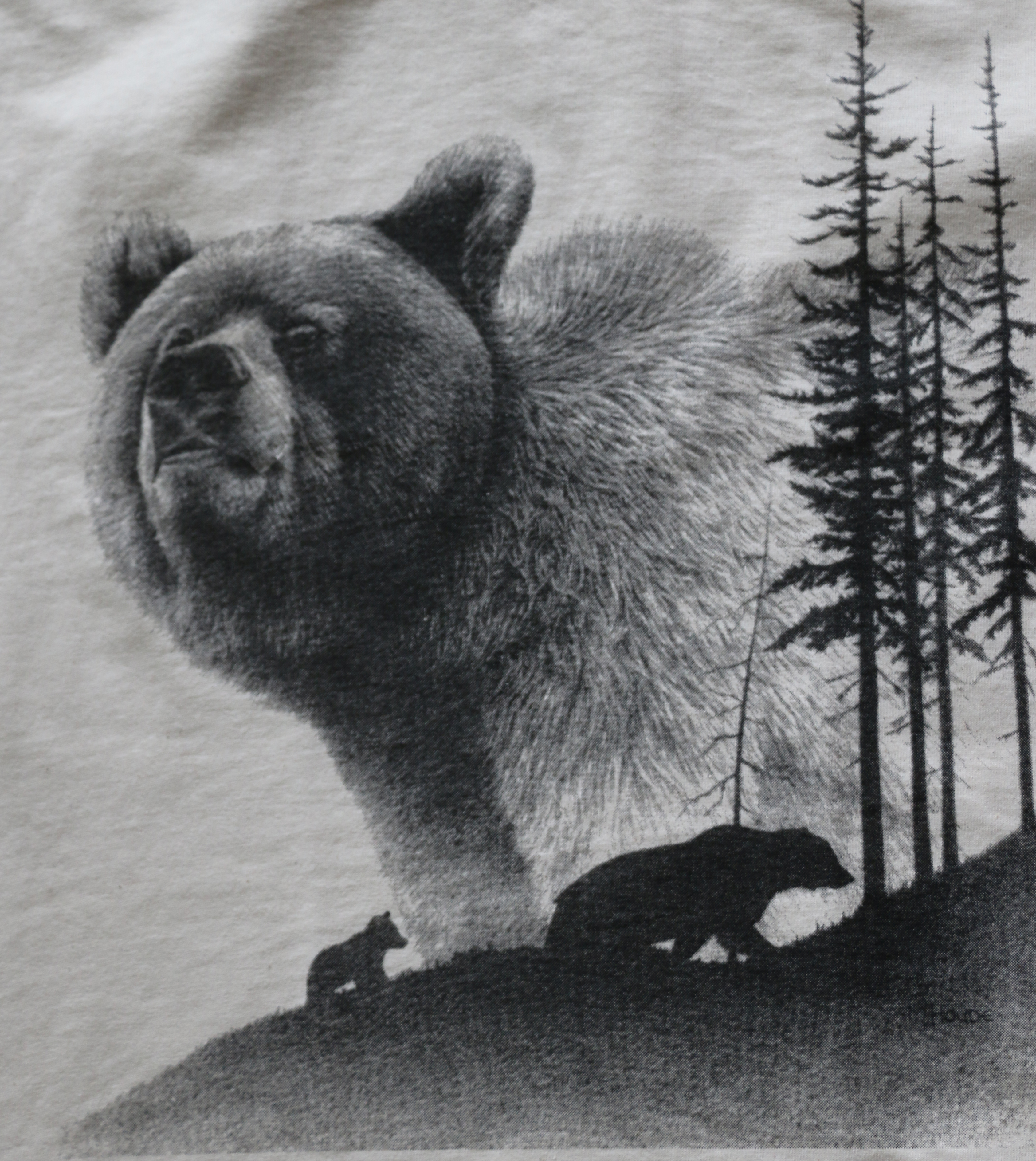 Grizzly - T-shirt