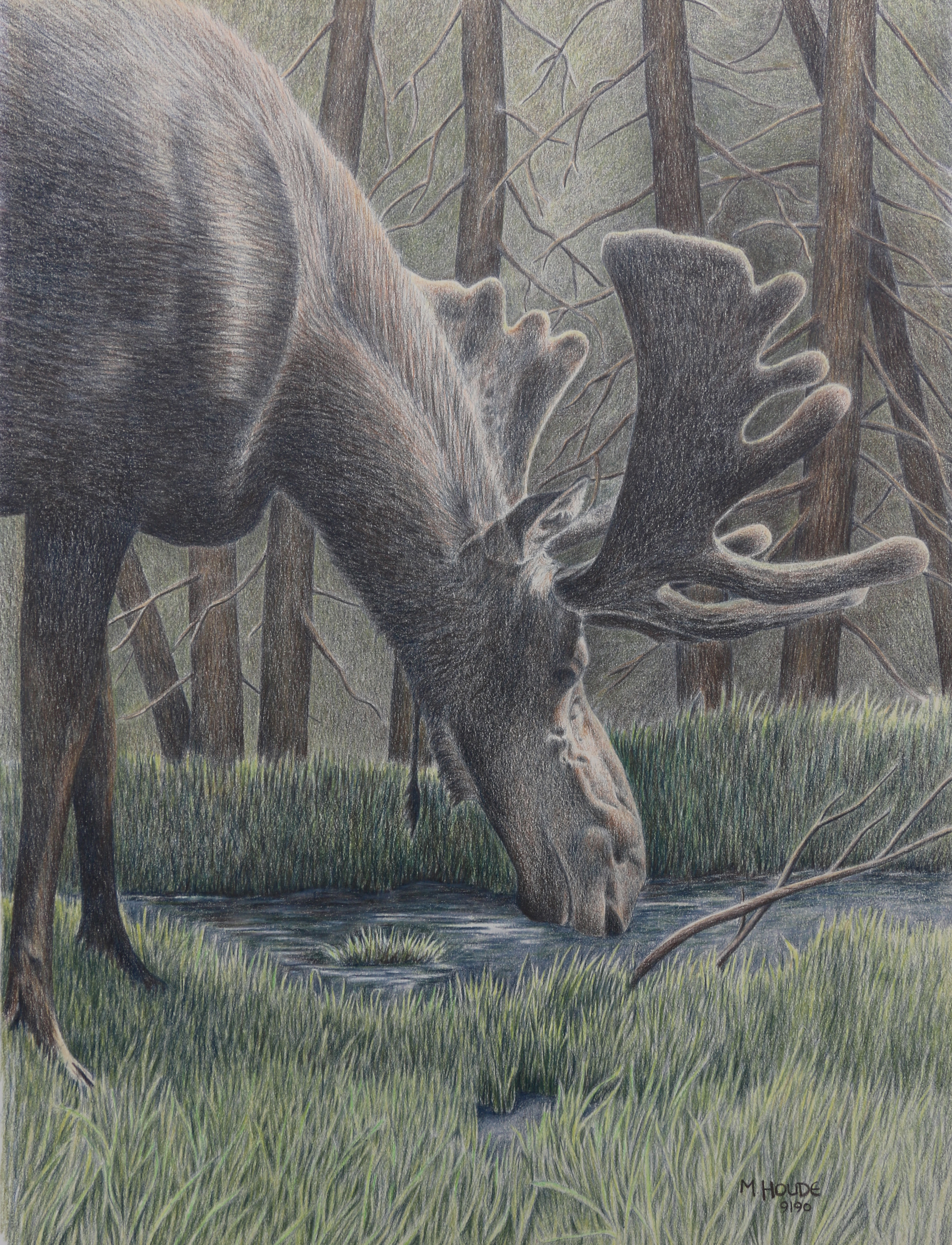 "Velvet Light" - Art Card