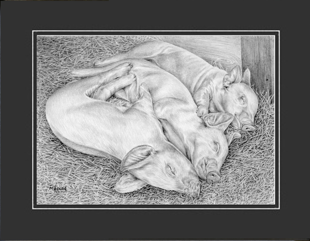 "Piglets" - Artist Print