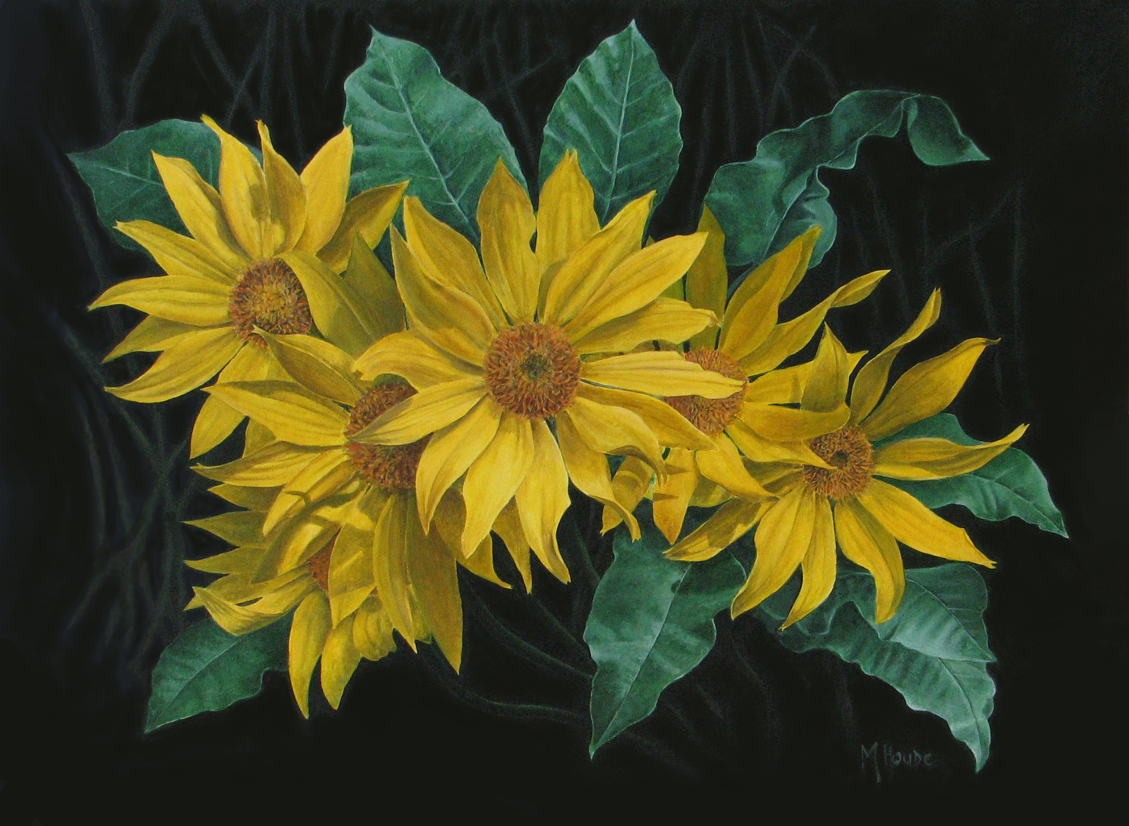 "Balsam Root" - Artist Print