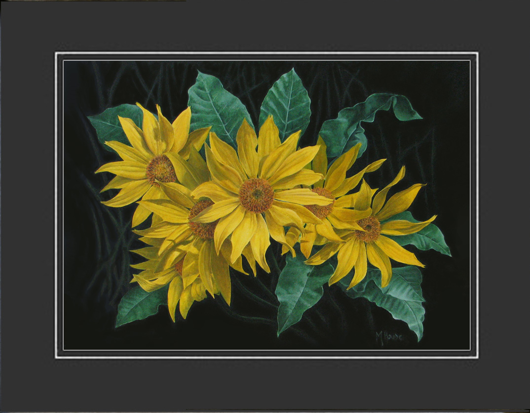 "Balsam Root" - Artist Print