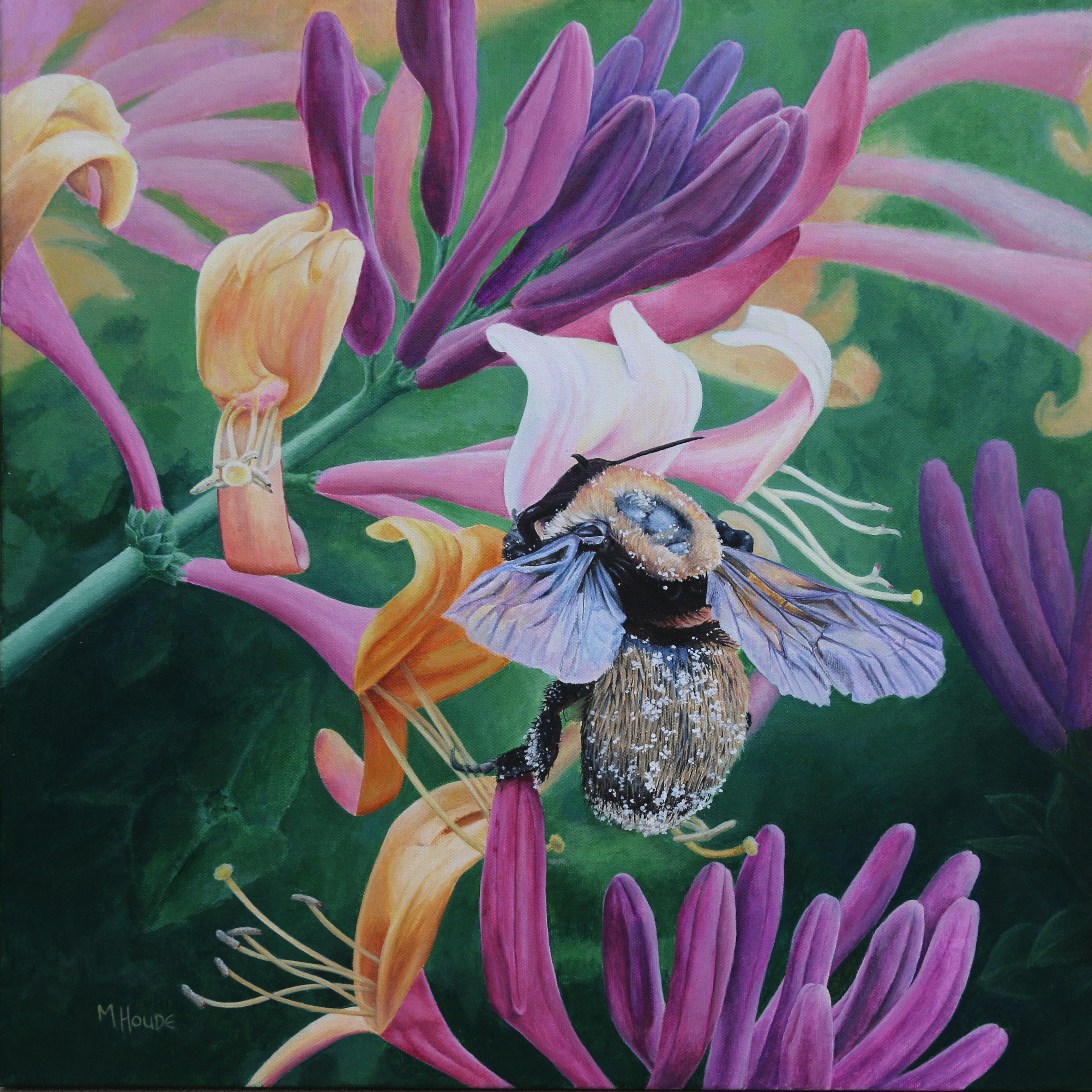 "Bee in the Honeysuckle" - Artist Print