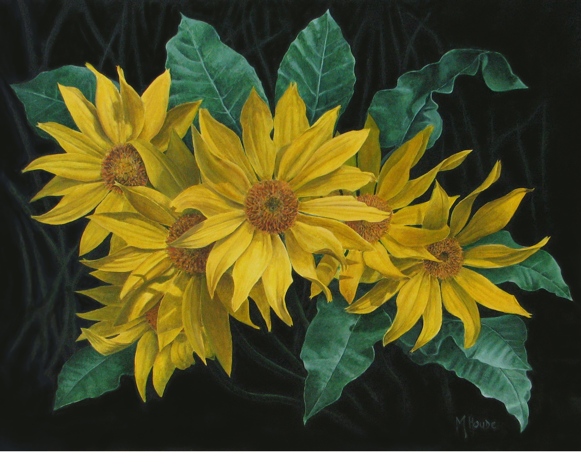 "Balsam Root" - Art Card