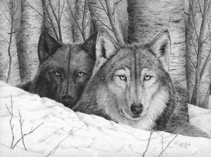 "Wolves In Winter" - Art Card