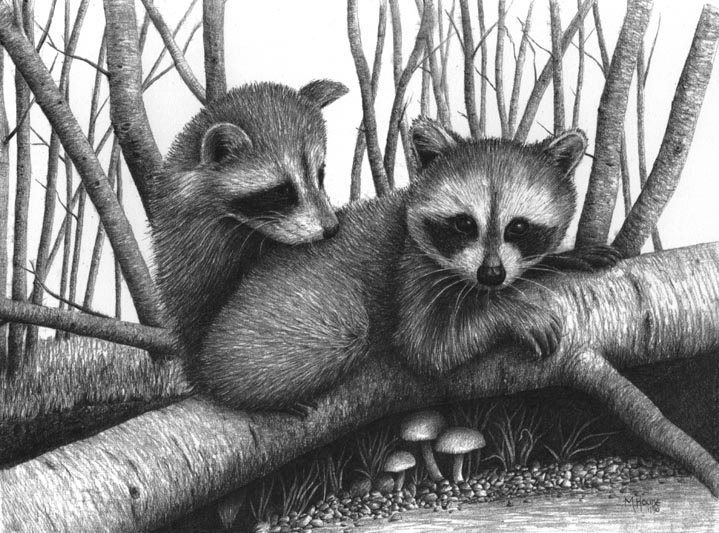 "Raccoons" - Artist Print