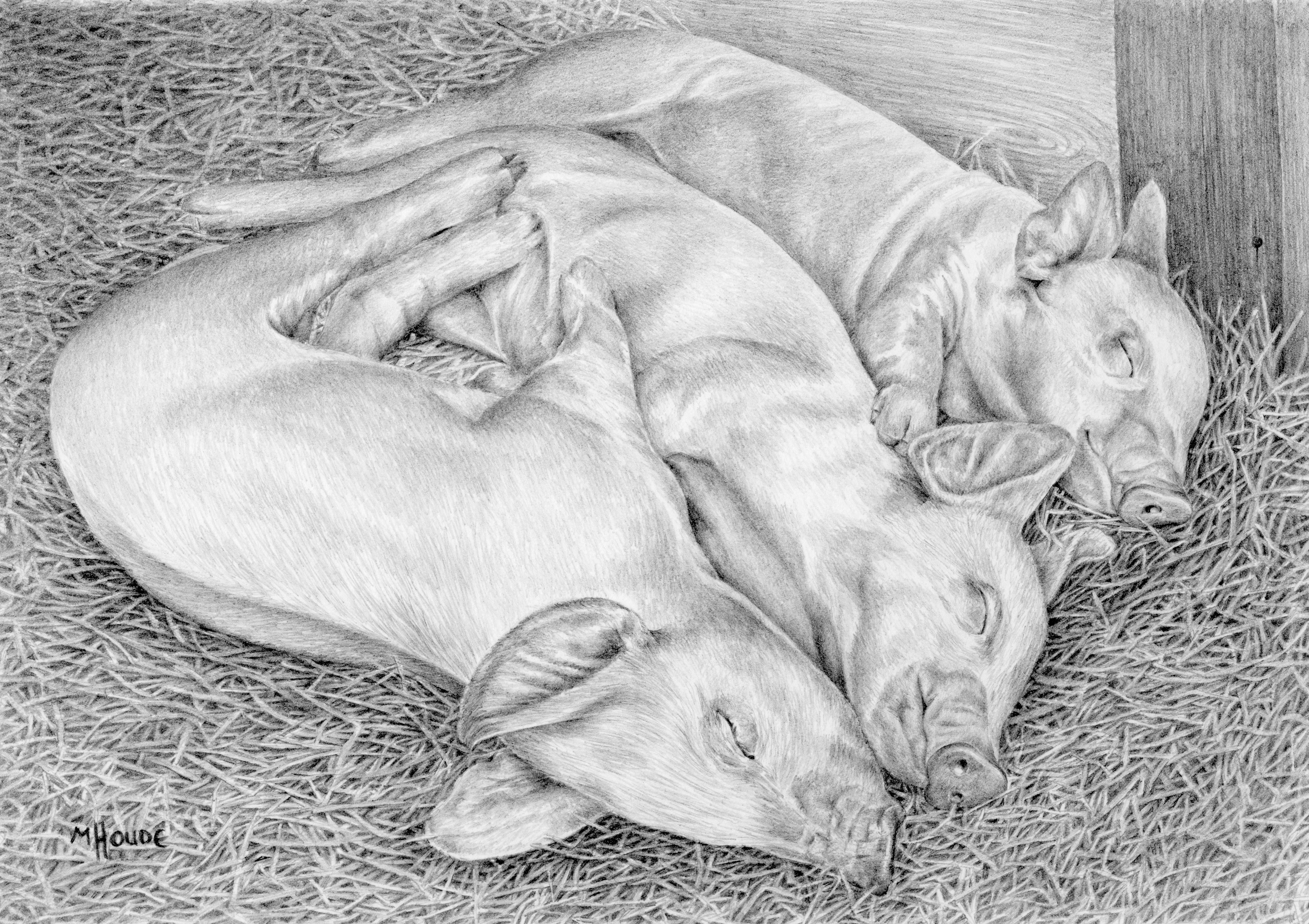 "Piglets" - Artist Print