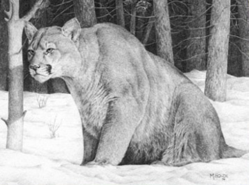 "Cougar" - Art Card