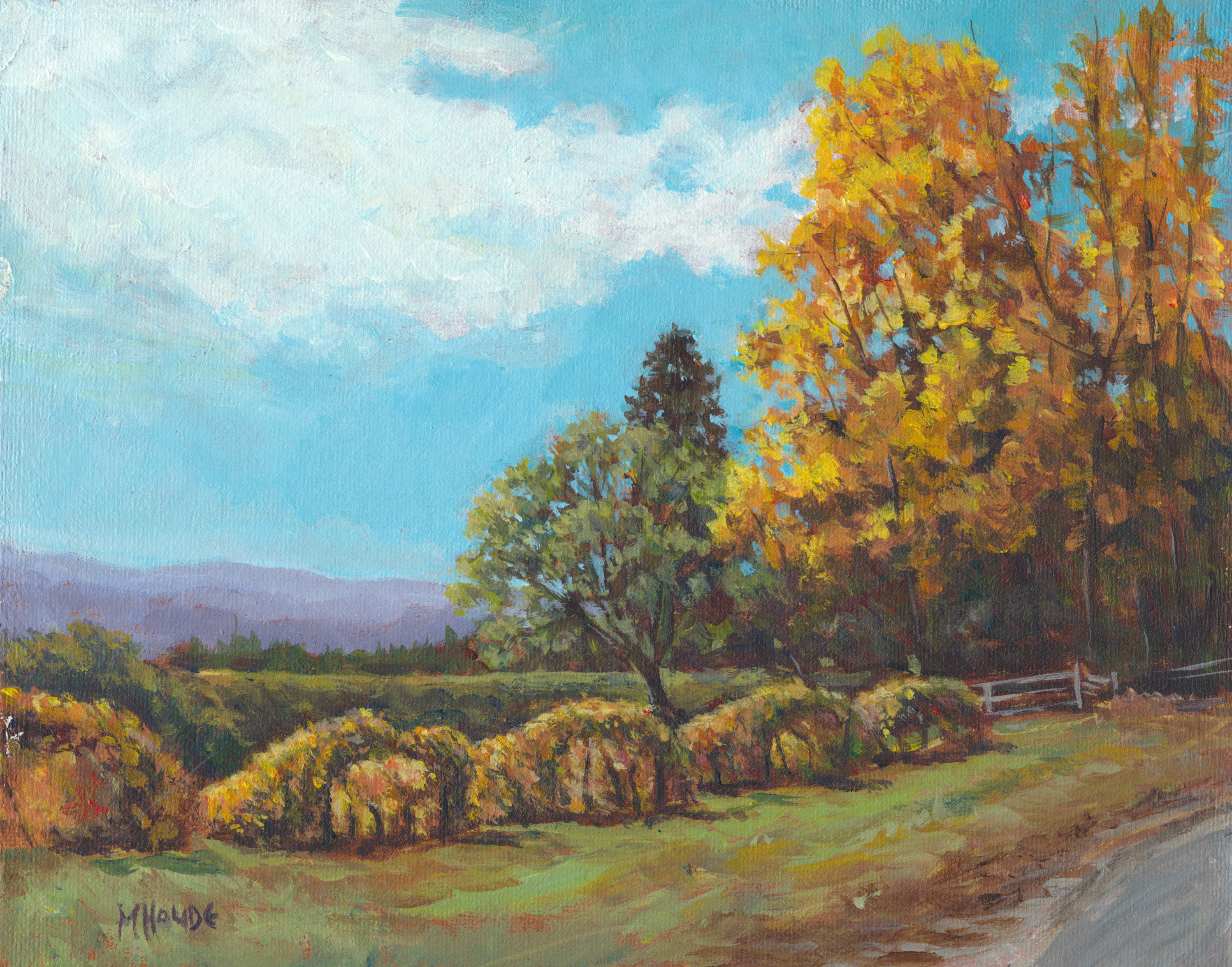 "Belgo Vineyard" - Artist Print