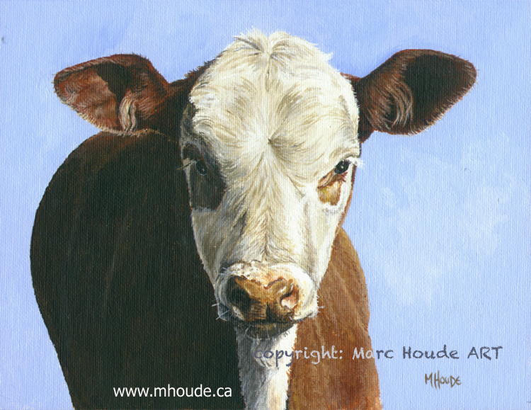 "Curious Calf" - Art Card