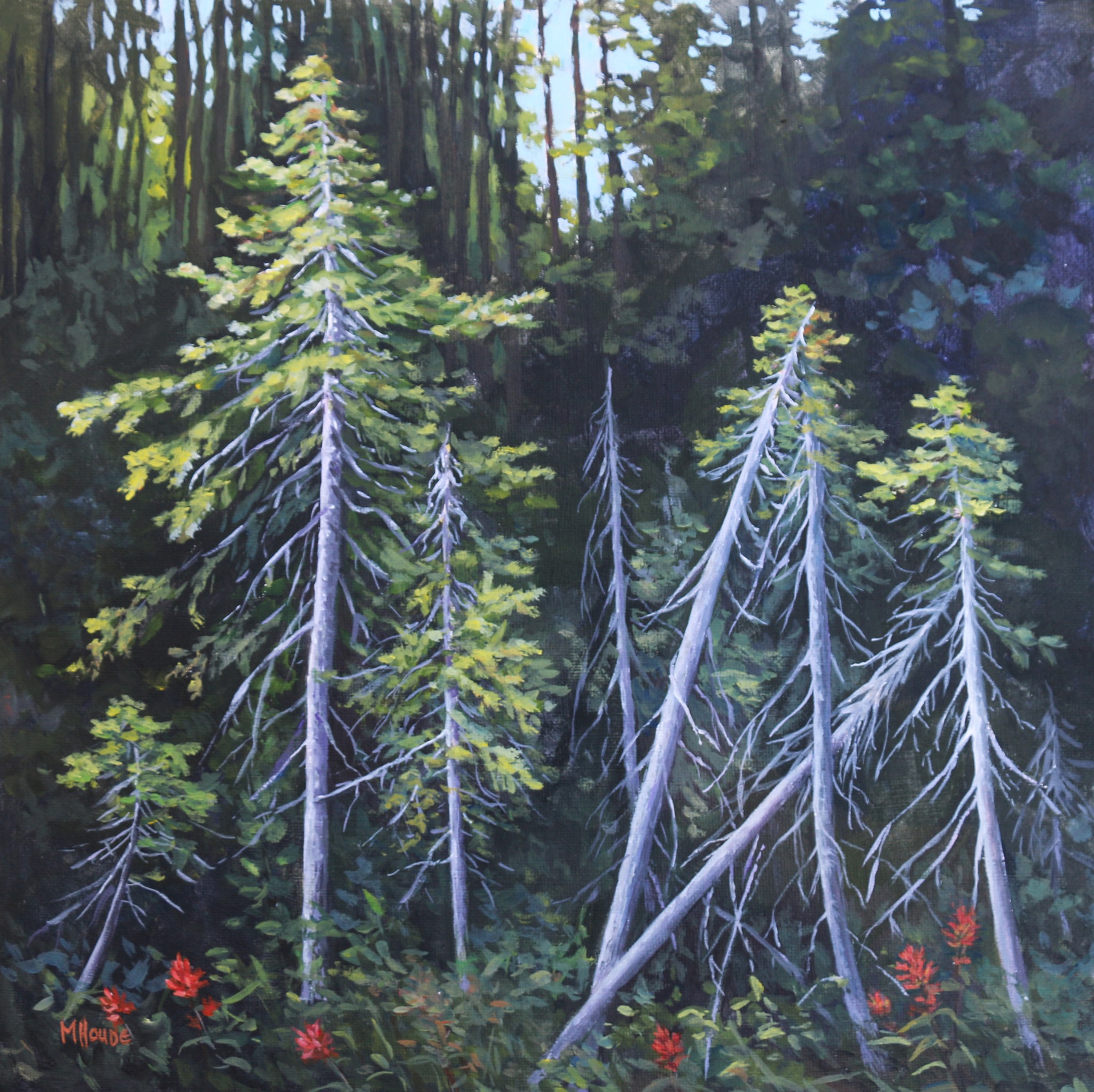 "Trees Illuminated" - Artist Print